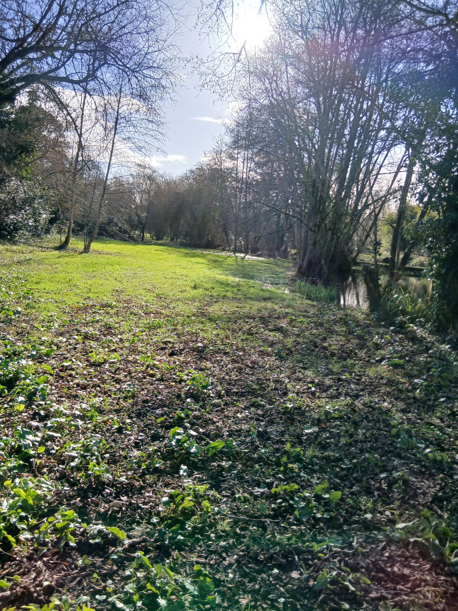 Photo 3 - Terrain de loisirs