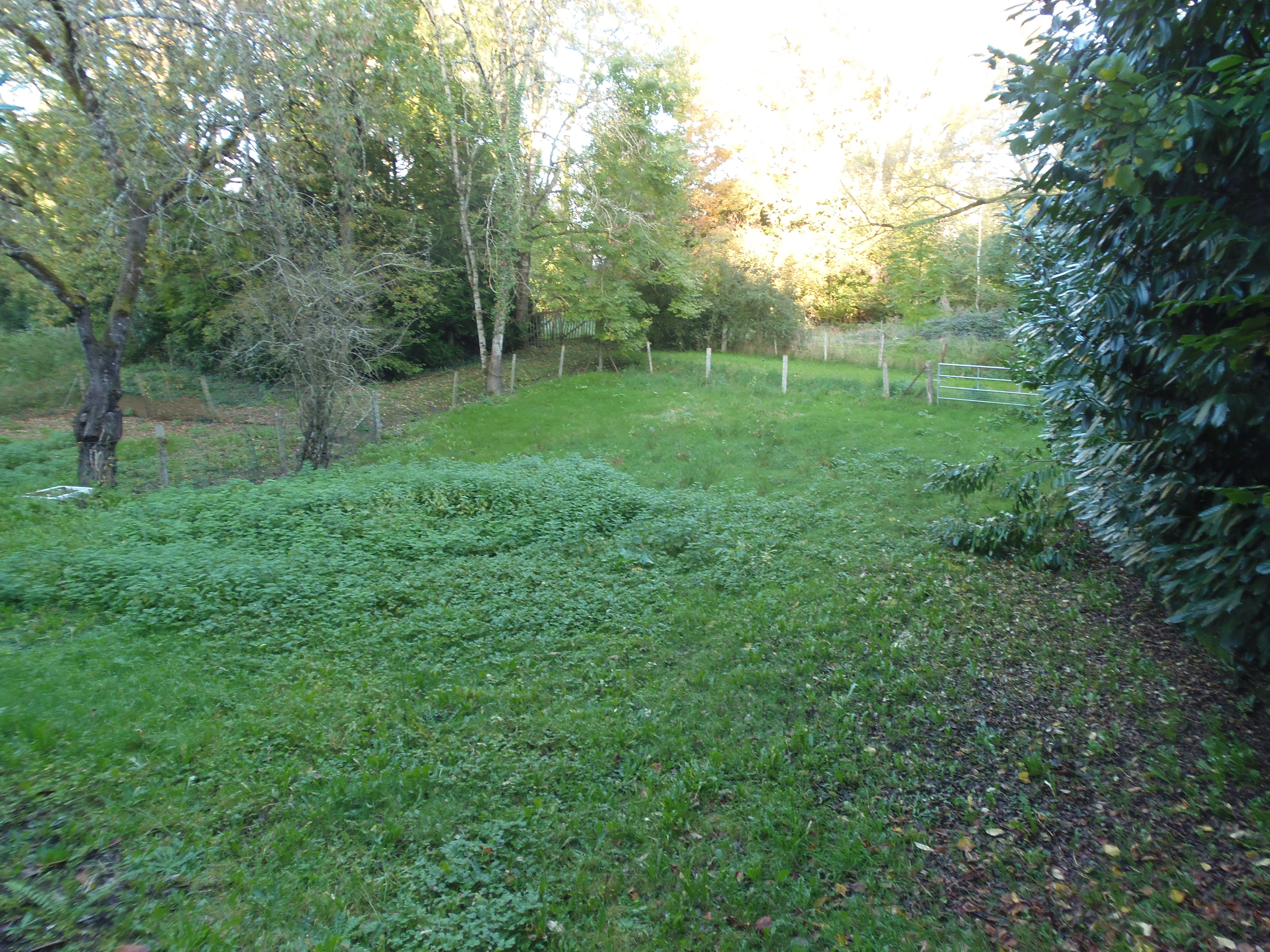Photo 4 - Maison avec garage de 240 m² !