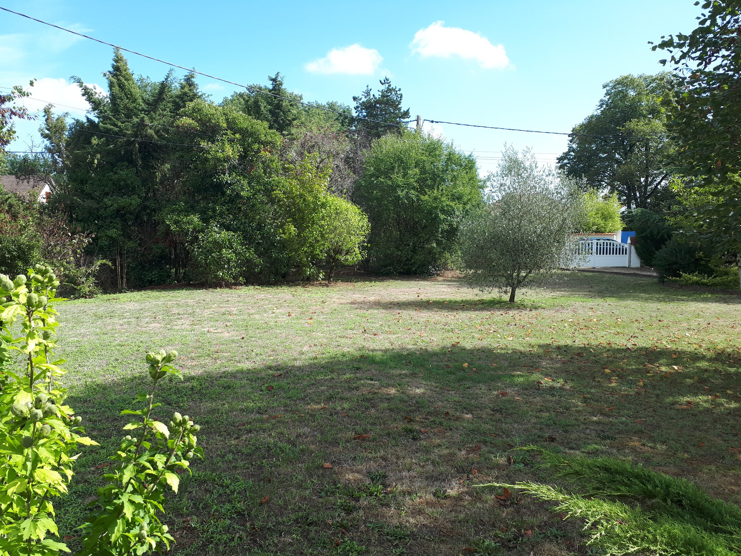 Photo 13 - Très belle maison tout confort avec jardin arboré