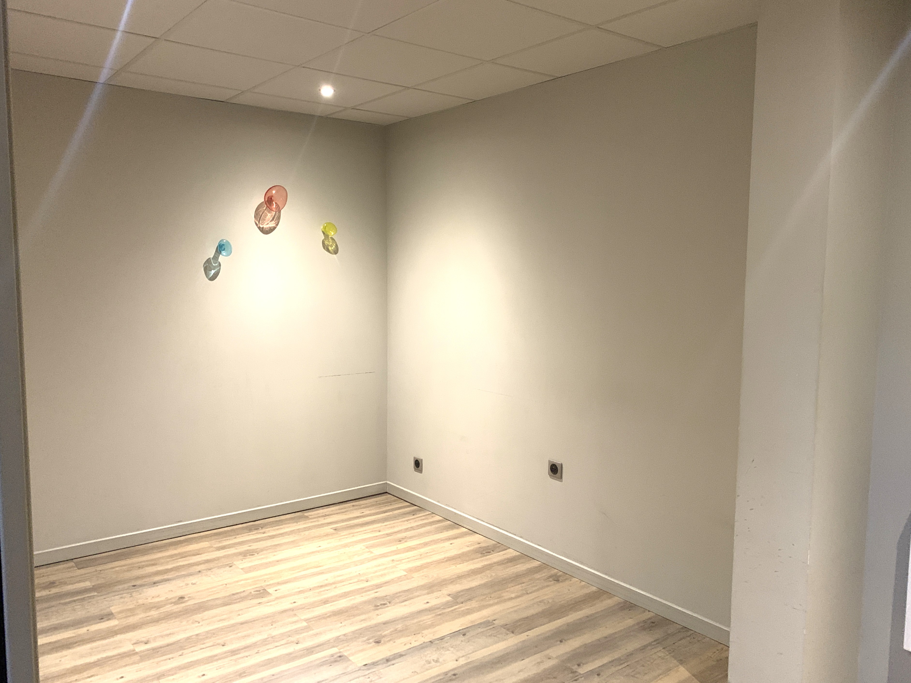 Photo 7 - Local professionnel