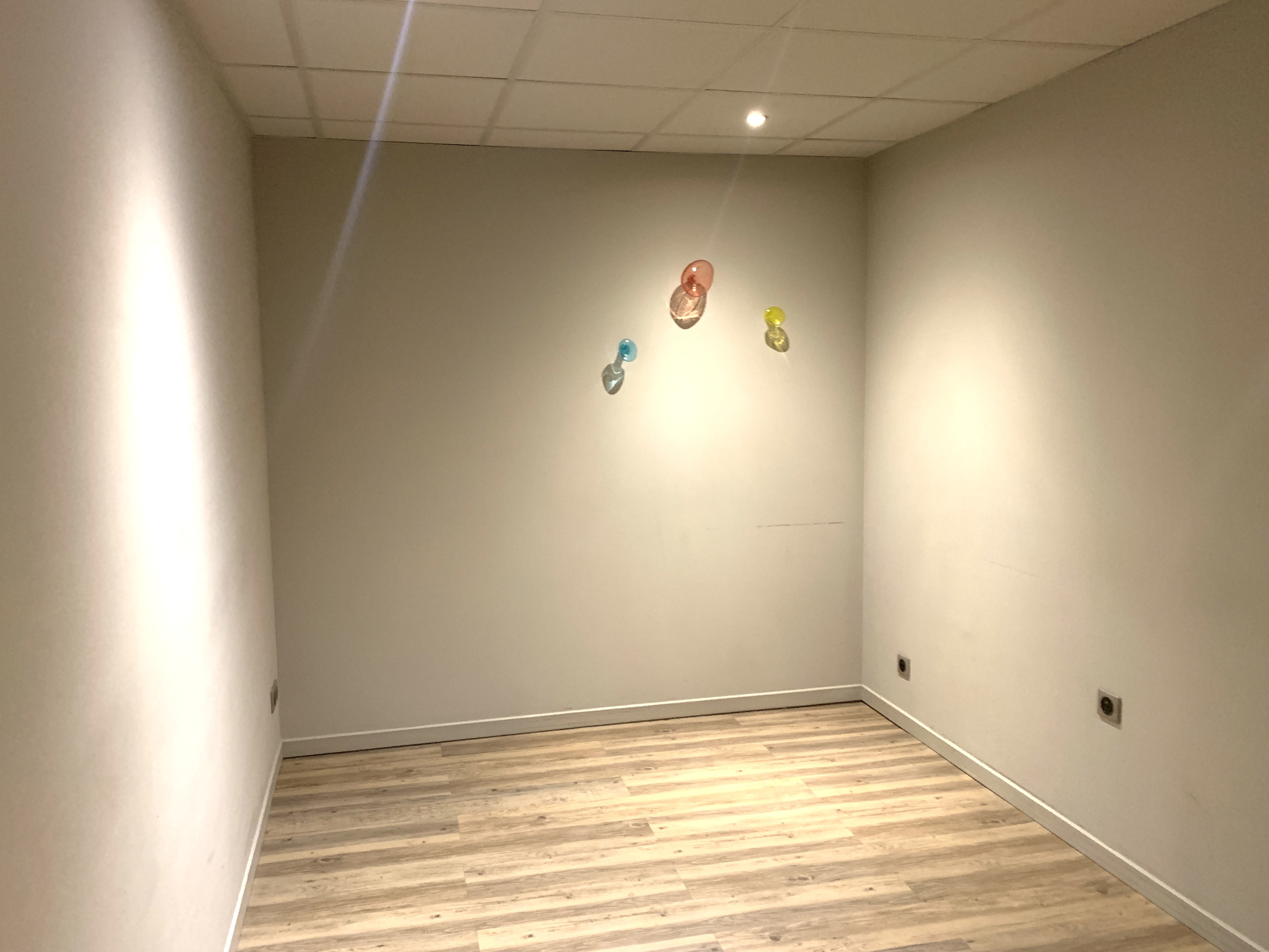 Photo 8 - Local professionnel