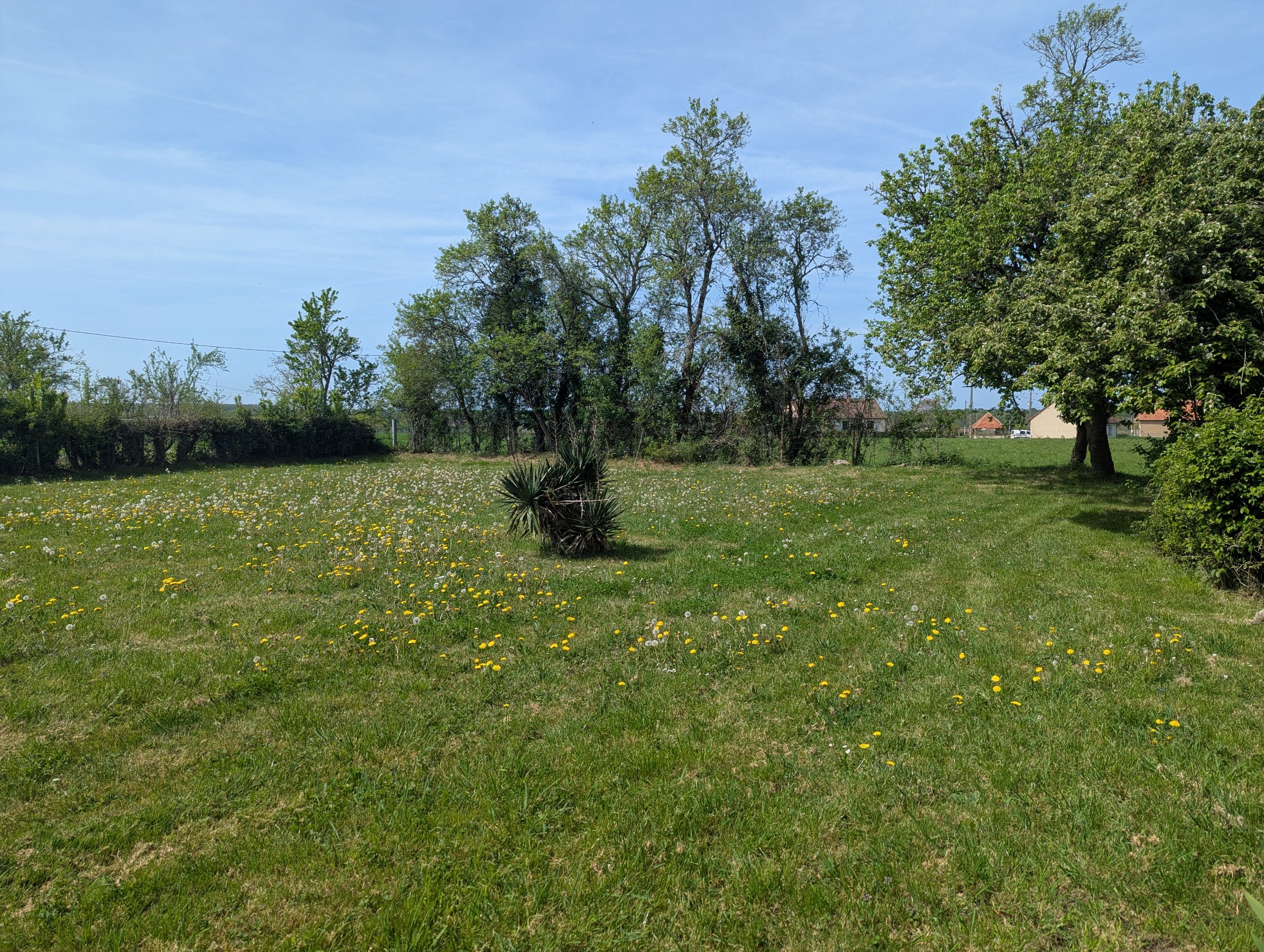 Photo 19 - Ancien corps de ferme !