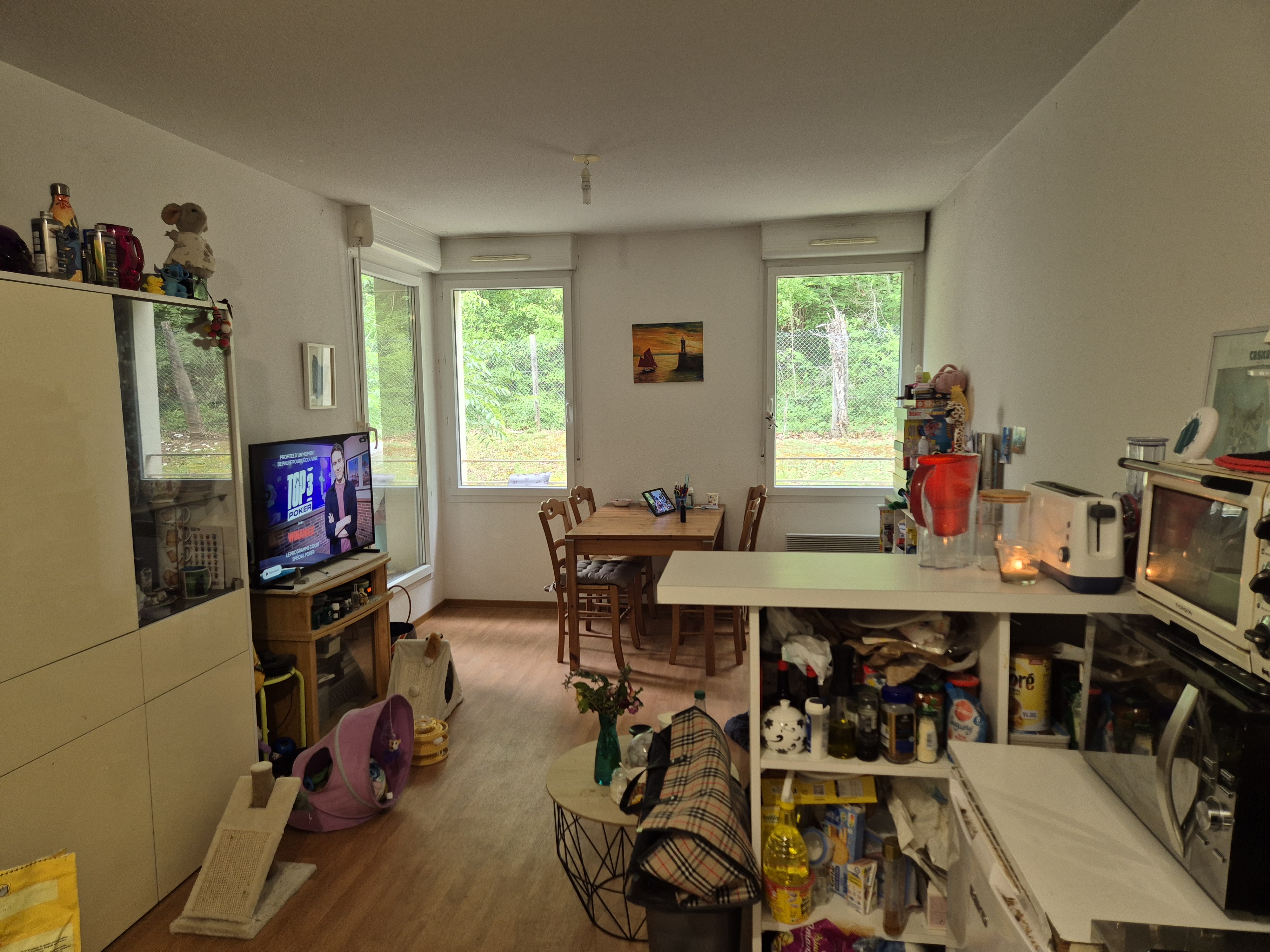 Photo 4 - APPARTEMENT T2 LOUE ST ASTIER