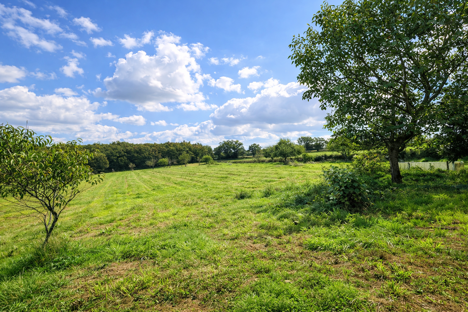 Photo 17 - Maison de campagne sur 14 hectares