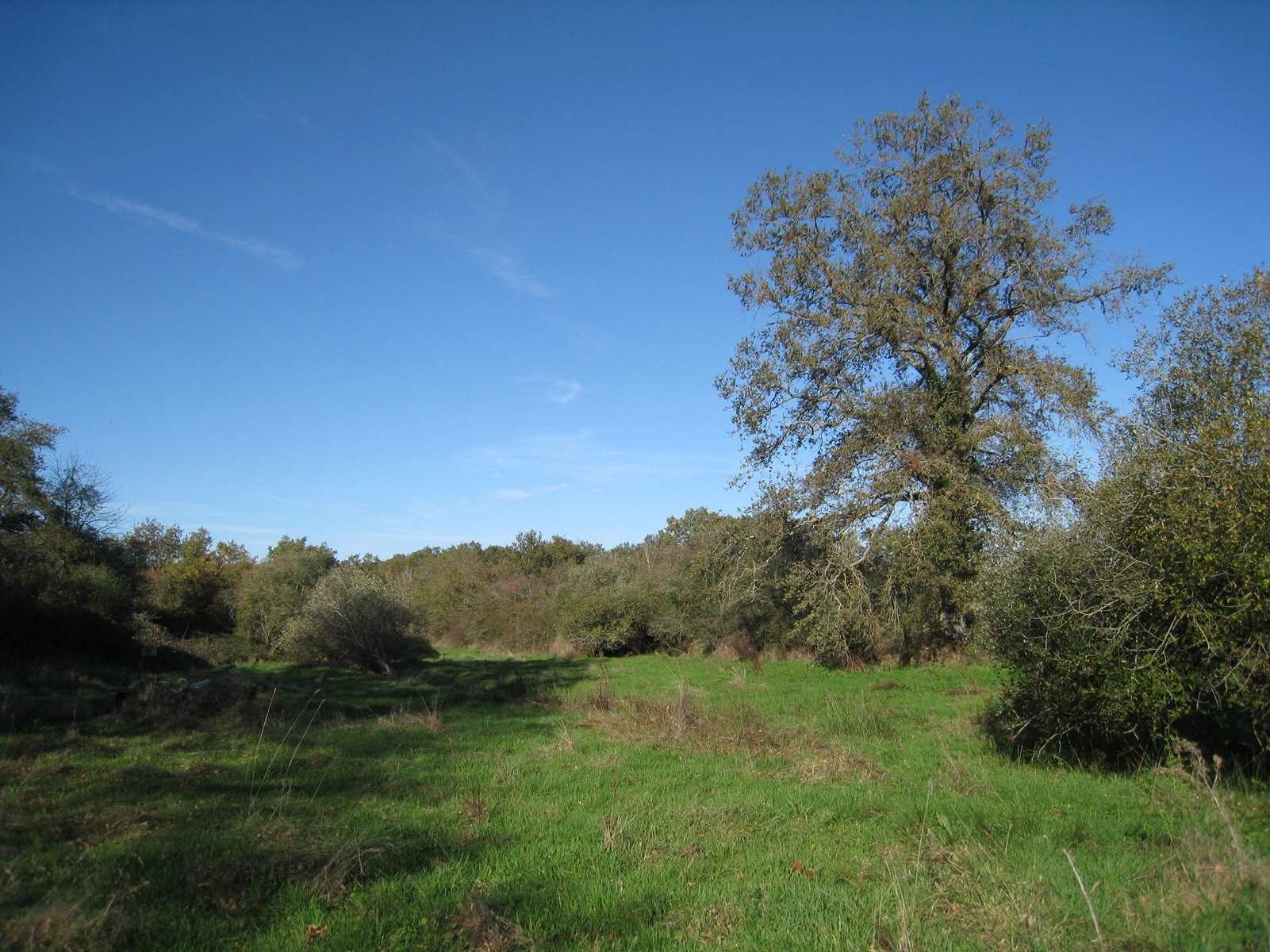 Photo 4 - Maison de campagne sur 14 hectares !