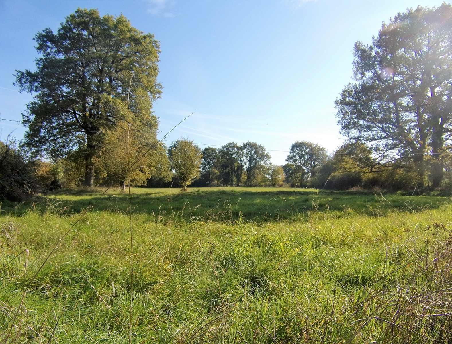 Photo 5 - Maison de campagne sur 14 hectares !