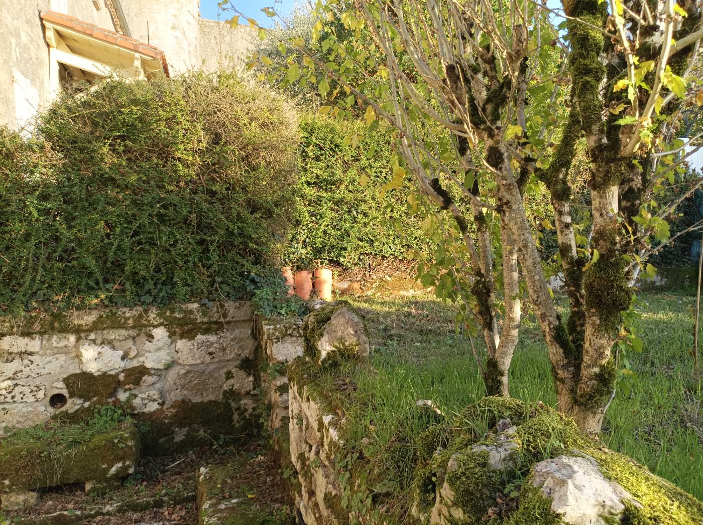 Photo 4 - Maison de ville superbe vue campagne