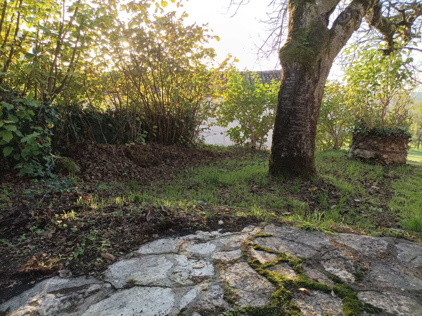 Photo 3 - Maison de ville superbe vue campagne