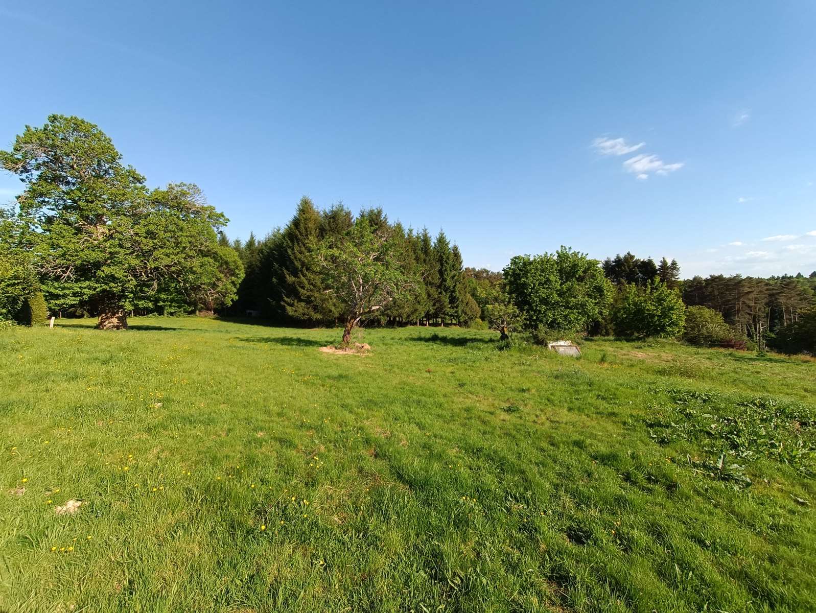 Photo 22 - Corps de ferme rénové avec vue panoramique – Saint-Julien-aux-Bois (19)