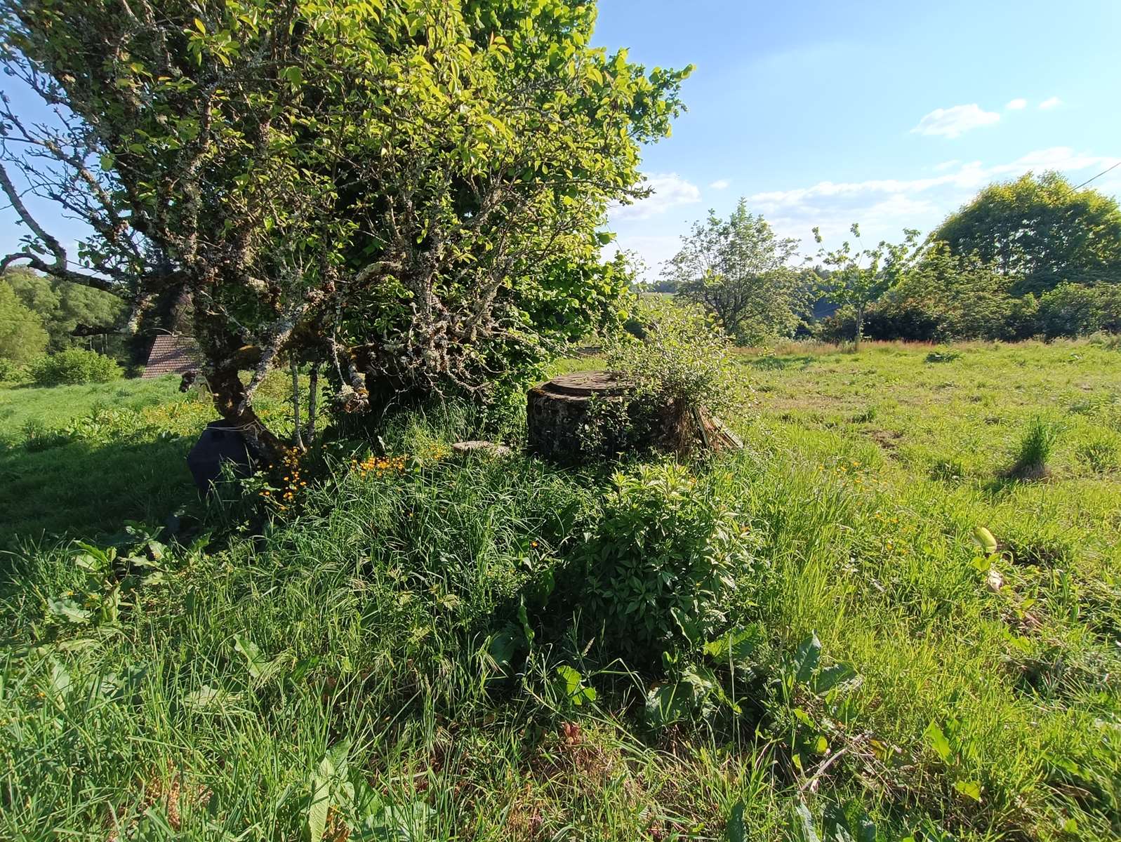 Photo 23 - Corps de ferme rénové avec vue panoramique – Saint-Julien-aux-Bois (19)