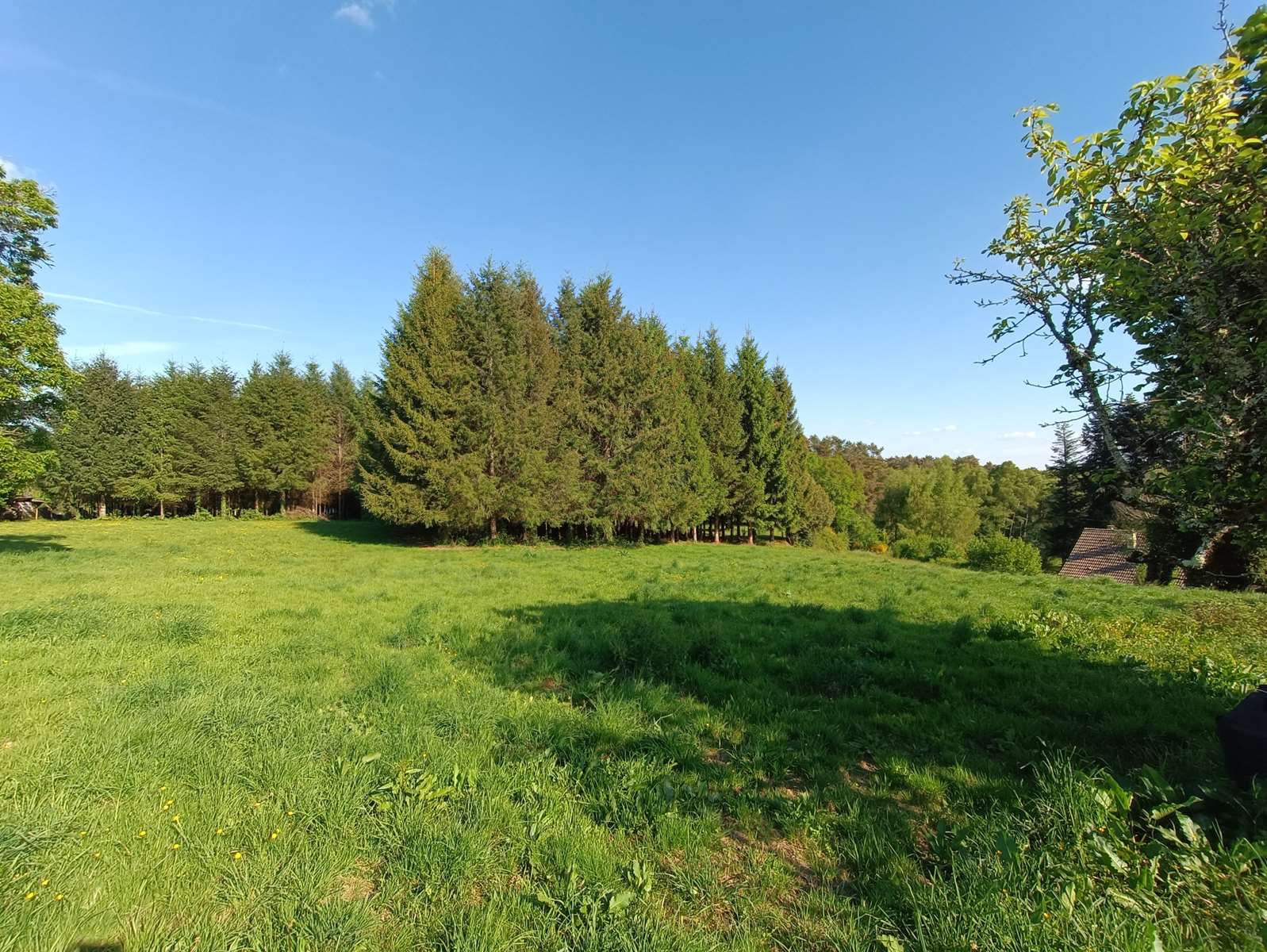 Photo 25 - Corps de ferme rénové avec vue panoramique – Saint-Julien-aux-Bois (19)