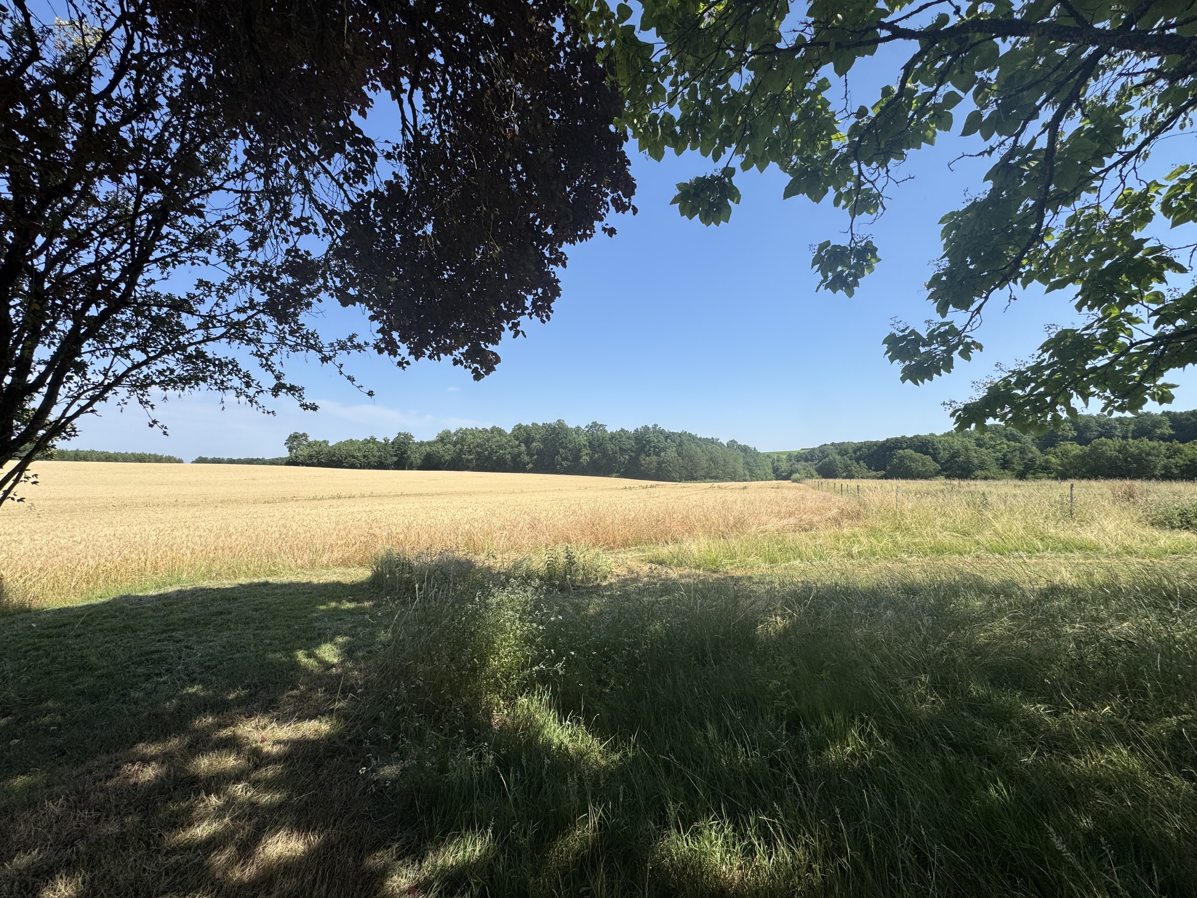 Photo 19 - Ferme charentaise 233 m² rénover – Terrain 1.5 Hectare