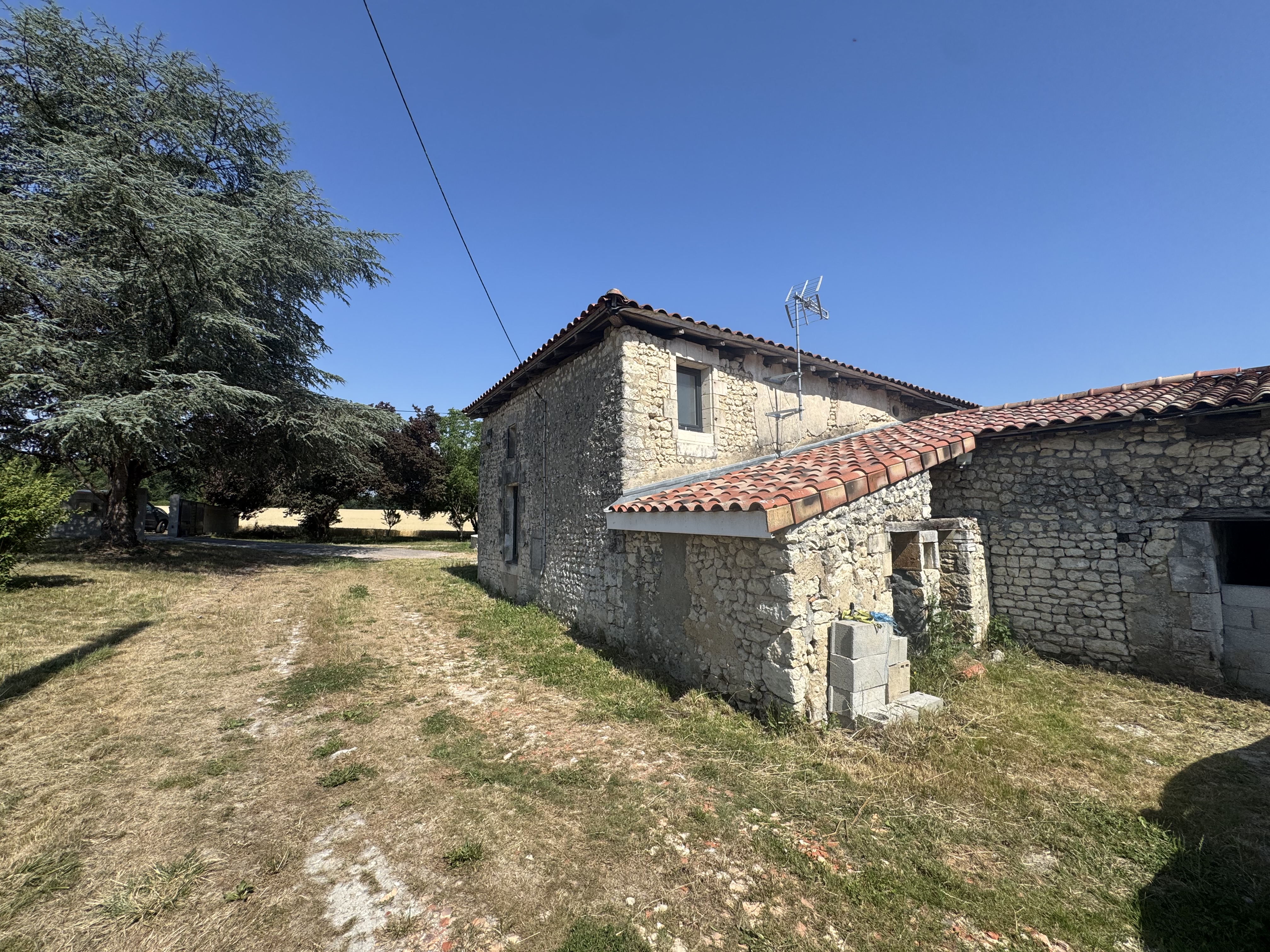 Photo 25 - Ferme charentaise 233 m² rénover – Terrain 1.5 Hectare