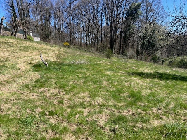 Photo 3 - AMBAZAC – TERRAIN A BATIR – 1300 m2 – 26 000 €