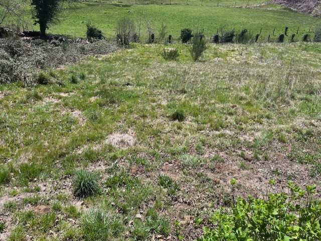 Photo 2 - AMBAZAC – TERRAIN A BATIR – 1300 m2 – 26 000 €