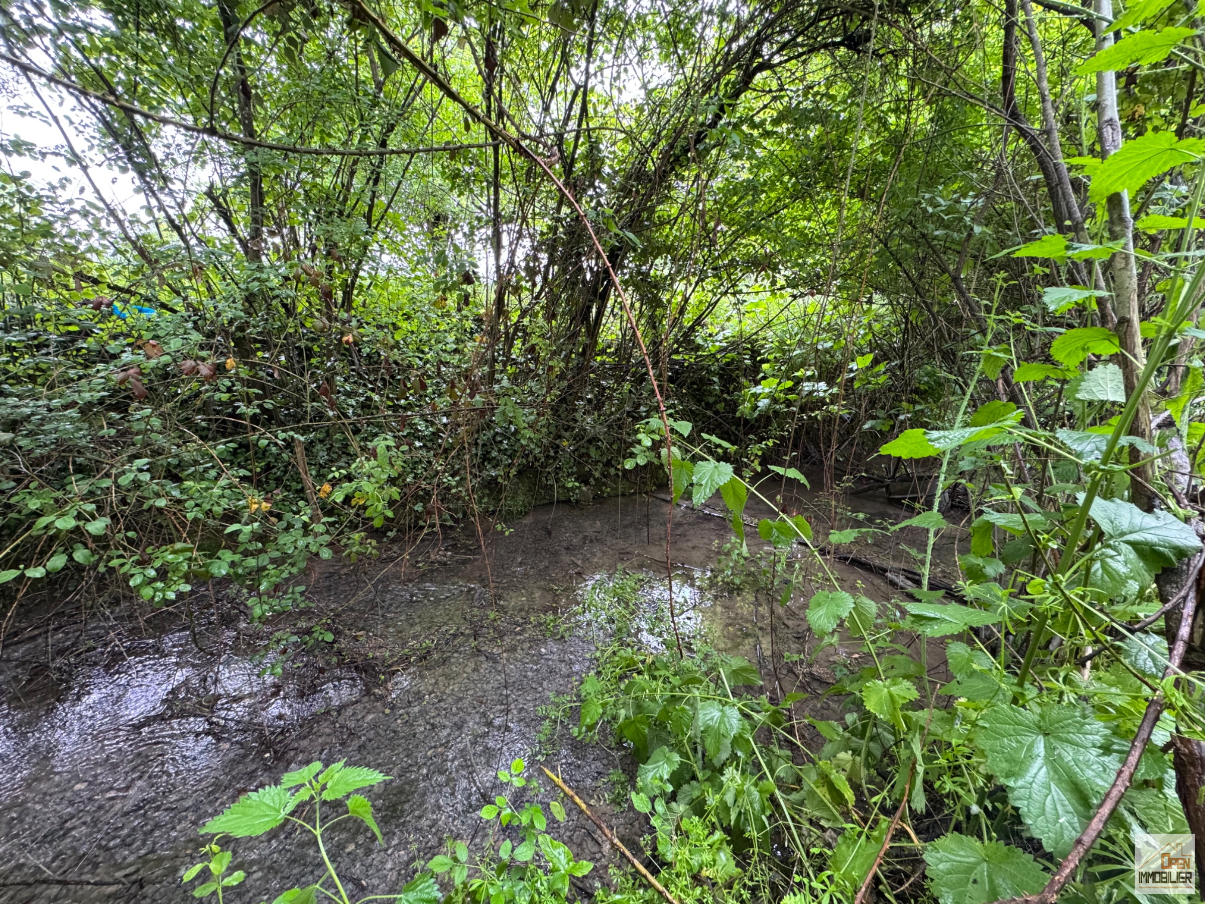 Photo 22 - Ancien moulin à eau sans voisins terrain de 2,7 Hectares