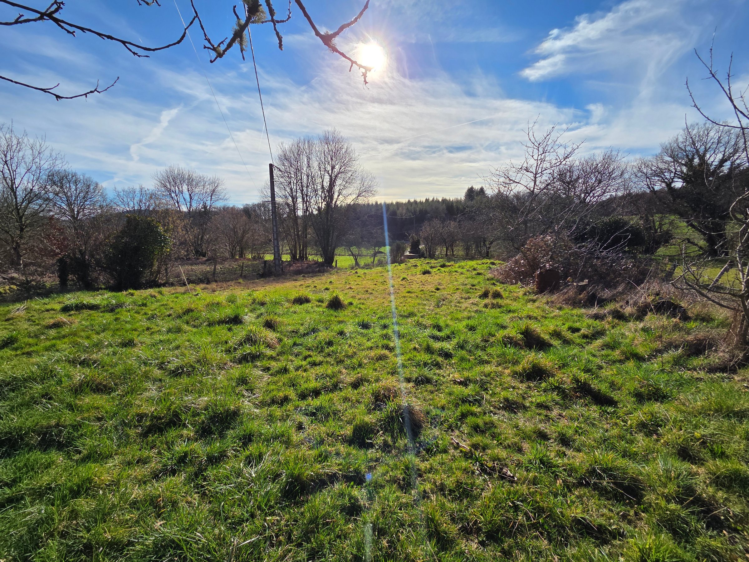 Photo 14 - Maison avec grange attenante et terrains 12126 m2