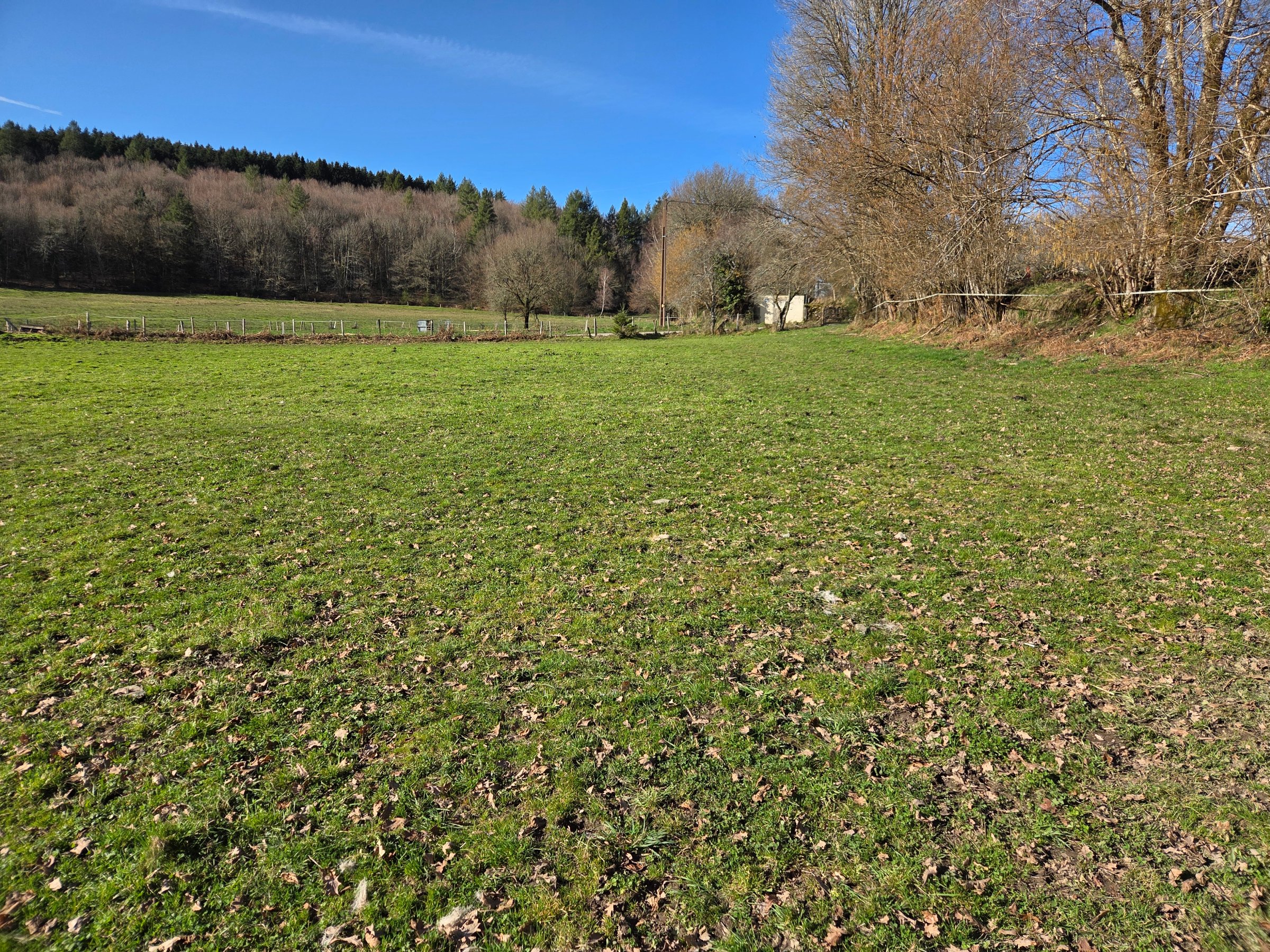 Photo 15 - Maison avec grange attenante et terrains 12126 m2