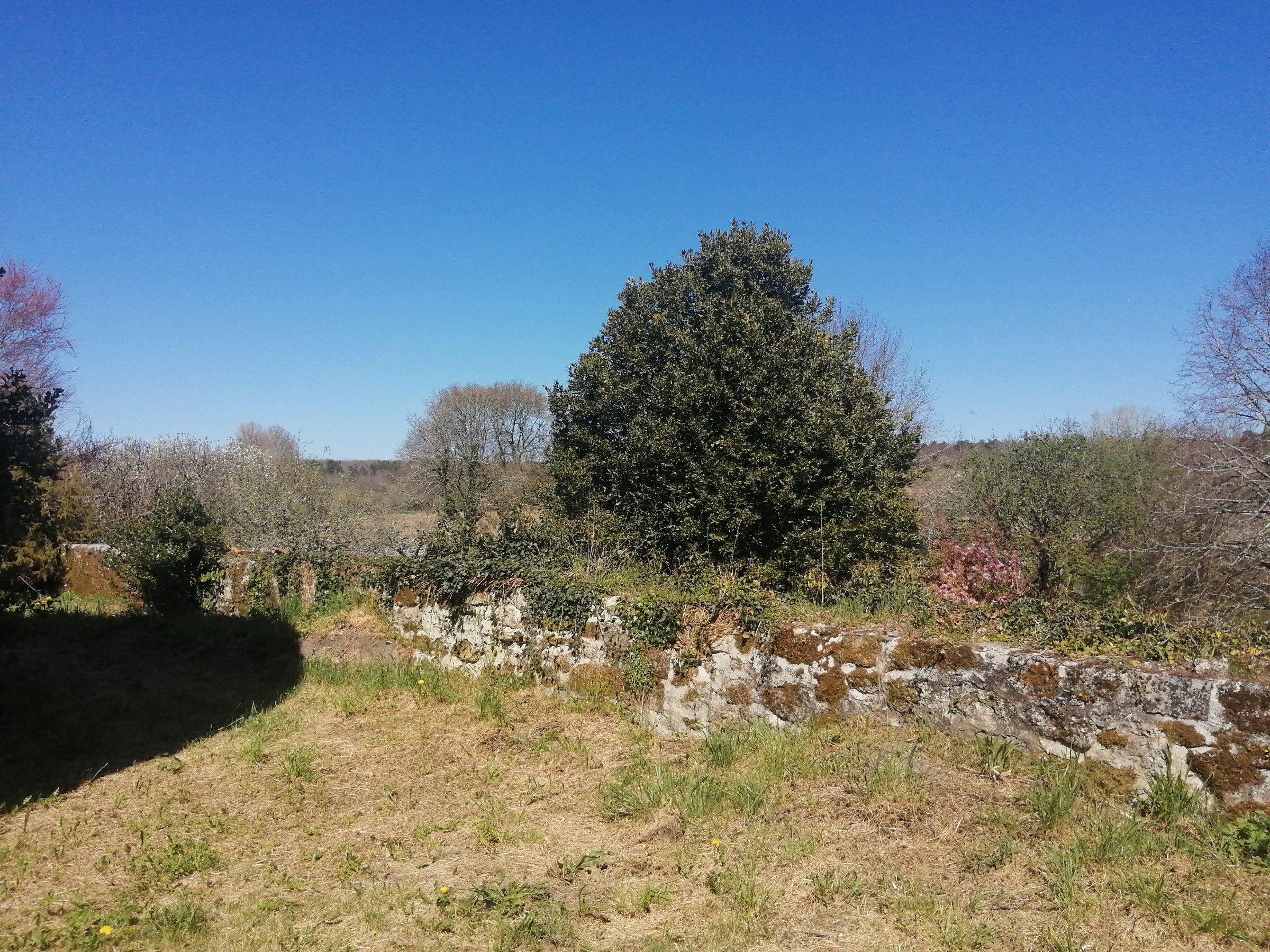 Photo 19 - Maison de caractère