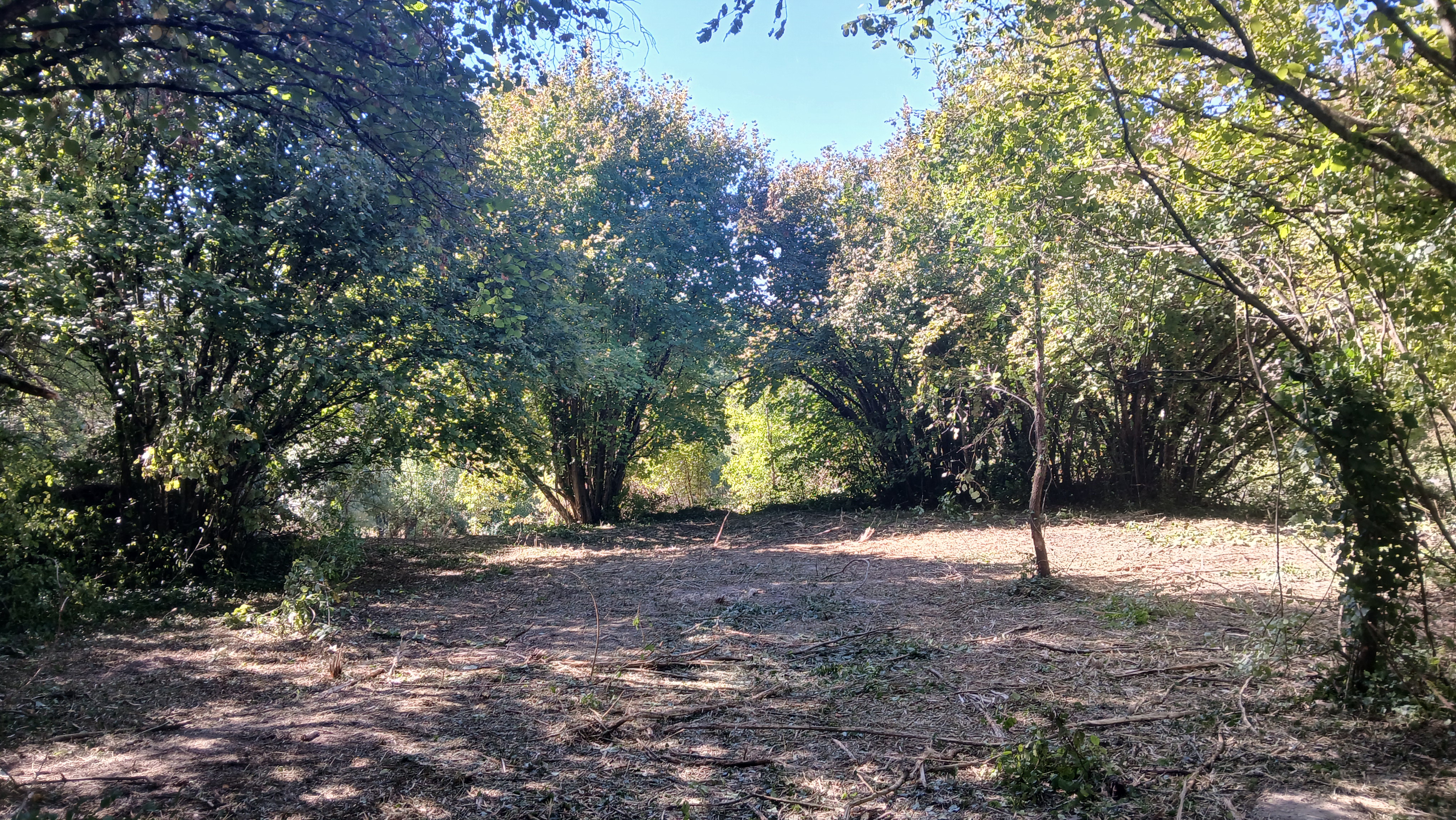 Photo 10 - Maison à rénover, 8000 m² de terrain, source