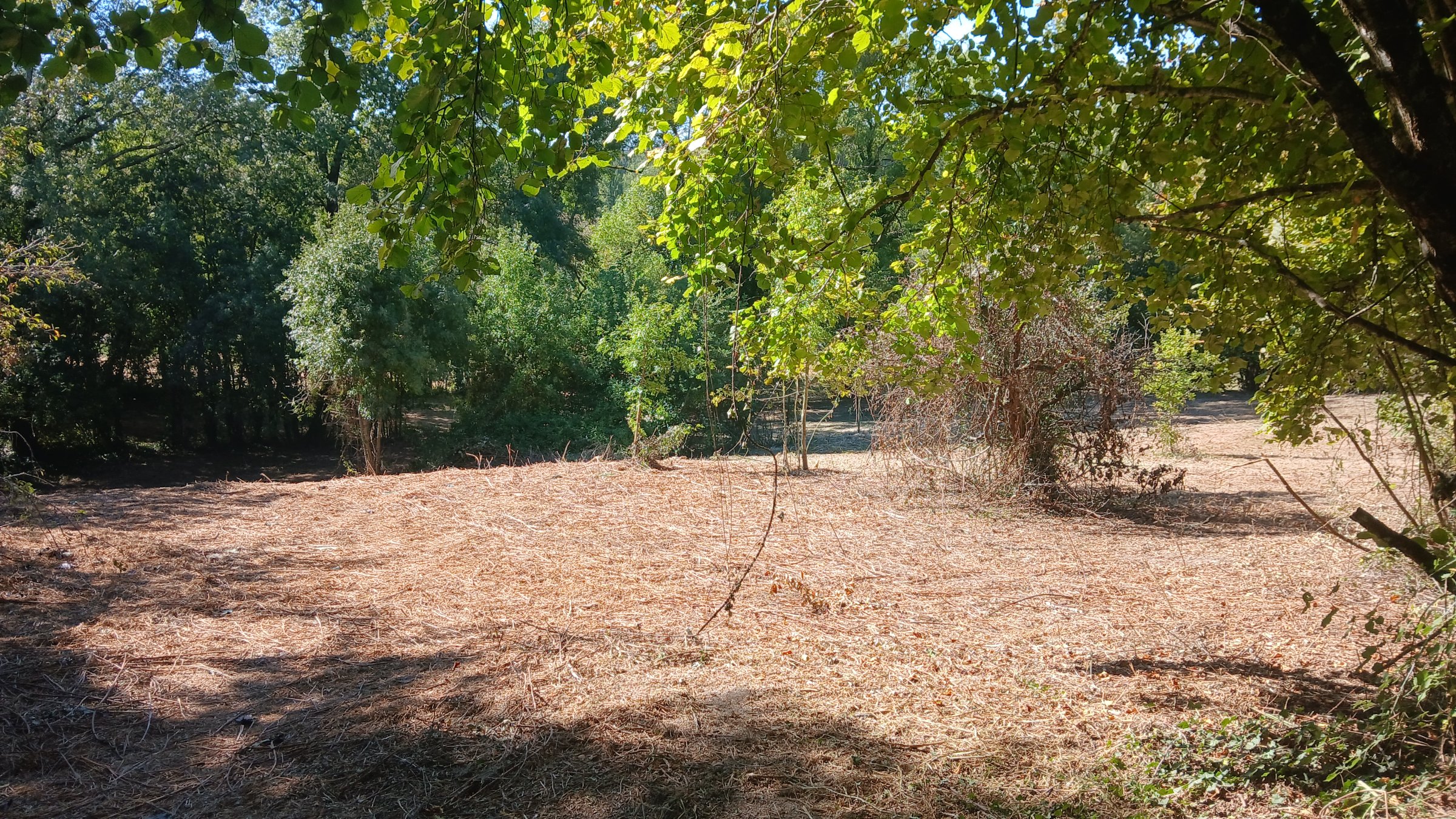 Photo 11 - Maison à rénover, 8000 m² de terrain, source