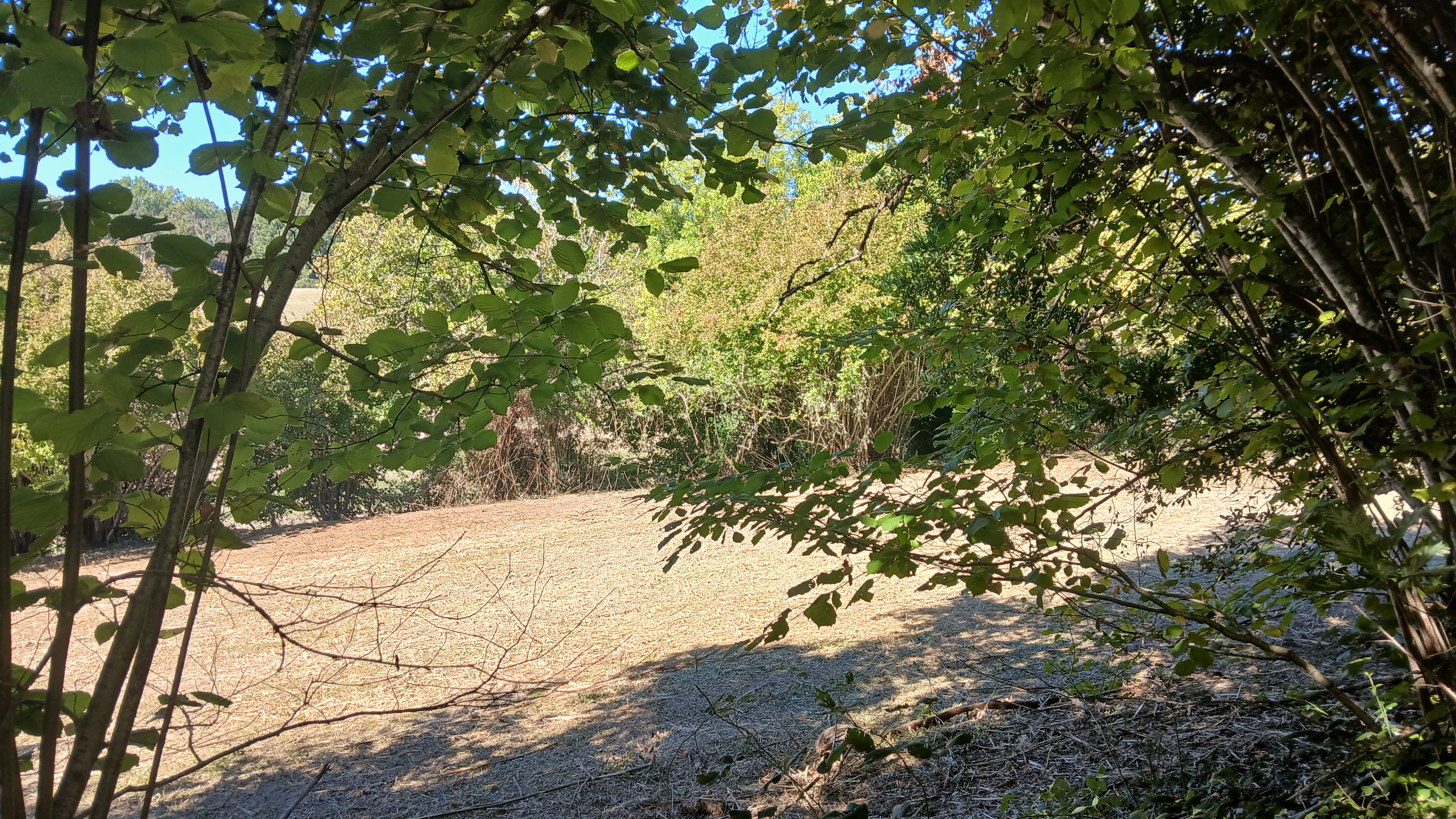 Photo 12 - Maison à rénover, 8000 m² de terrain, source