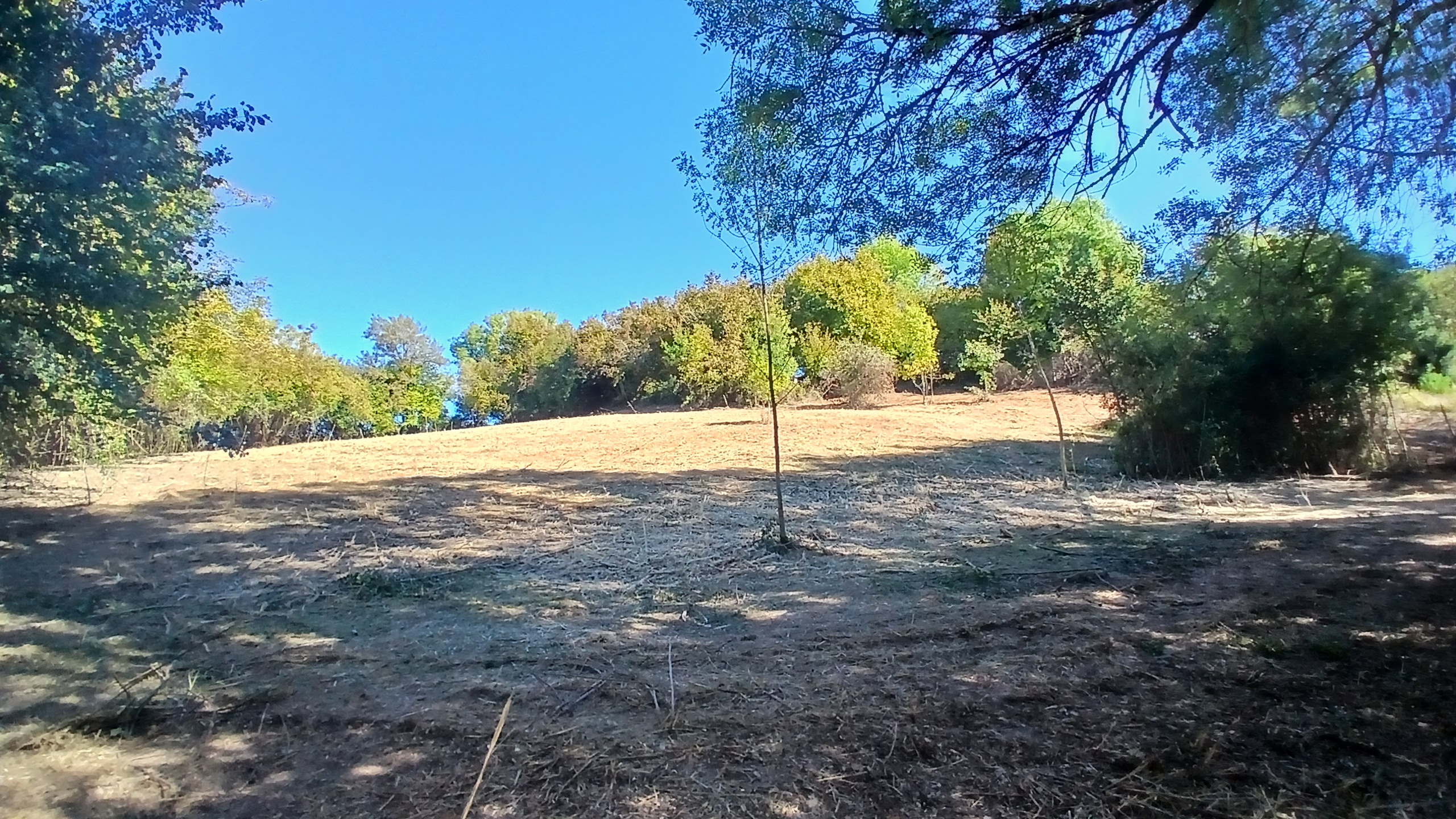 Photo 14 - Maison à rénover, 8000 m² de terrain, source