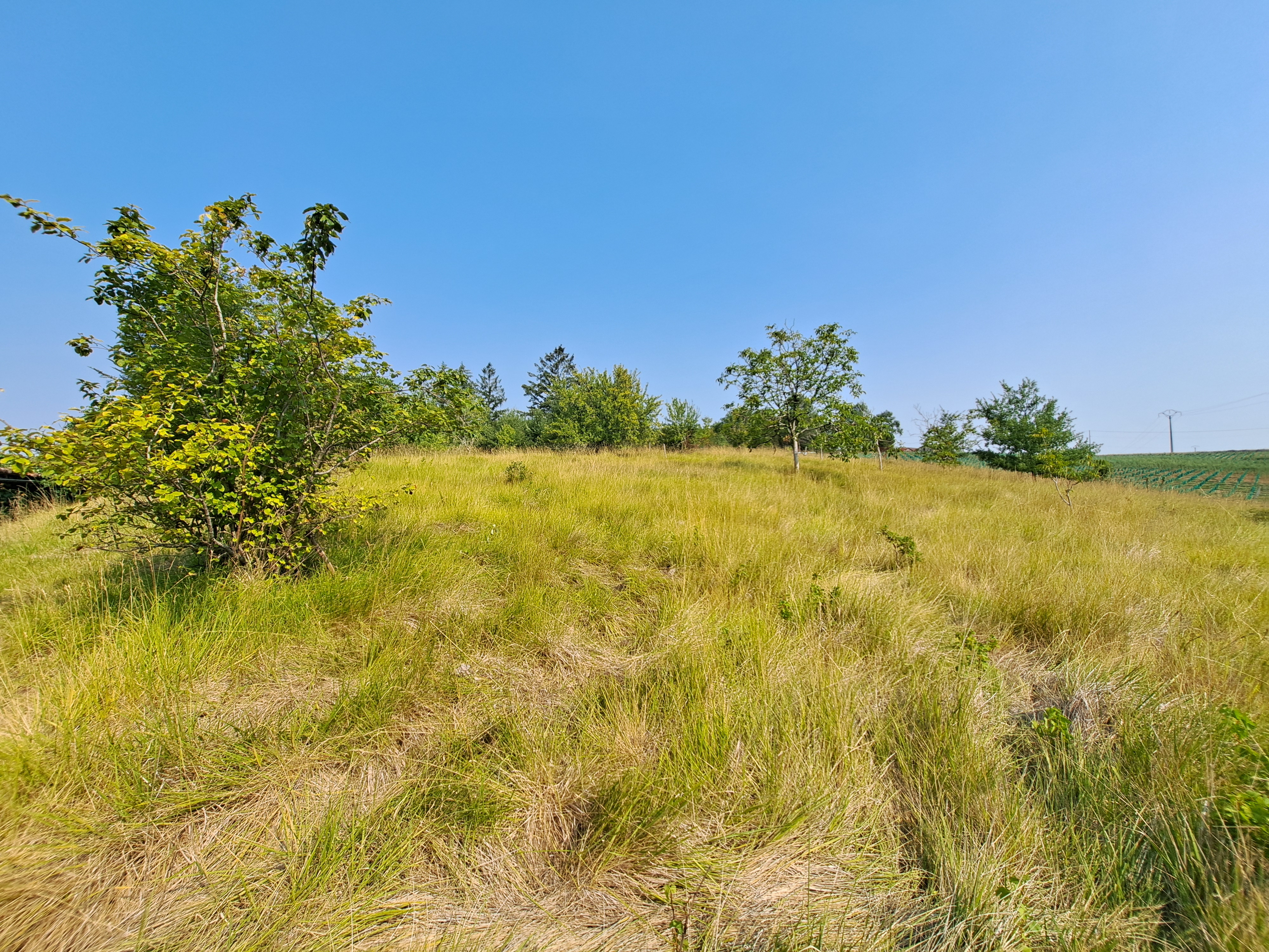 Photo 18 - Maison Charentaise 124 m² – Grange attenante – Terrain 5 348 m²