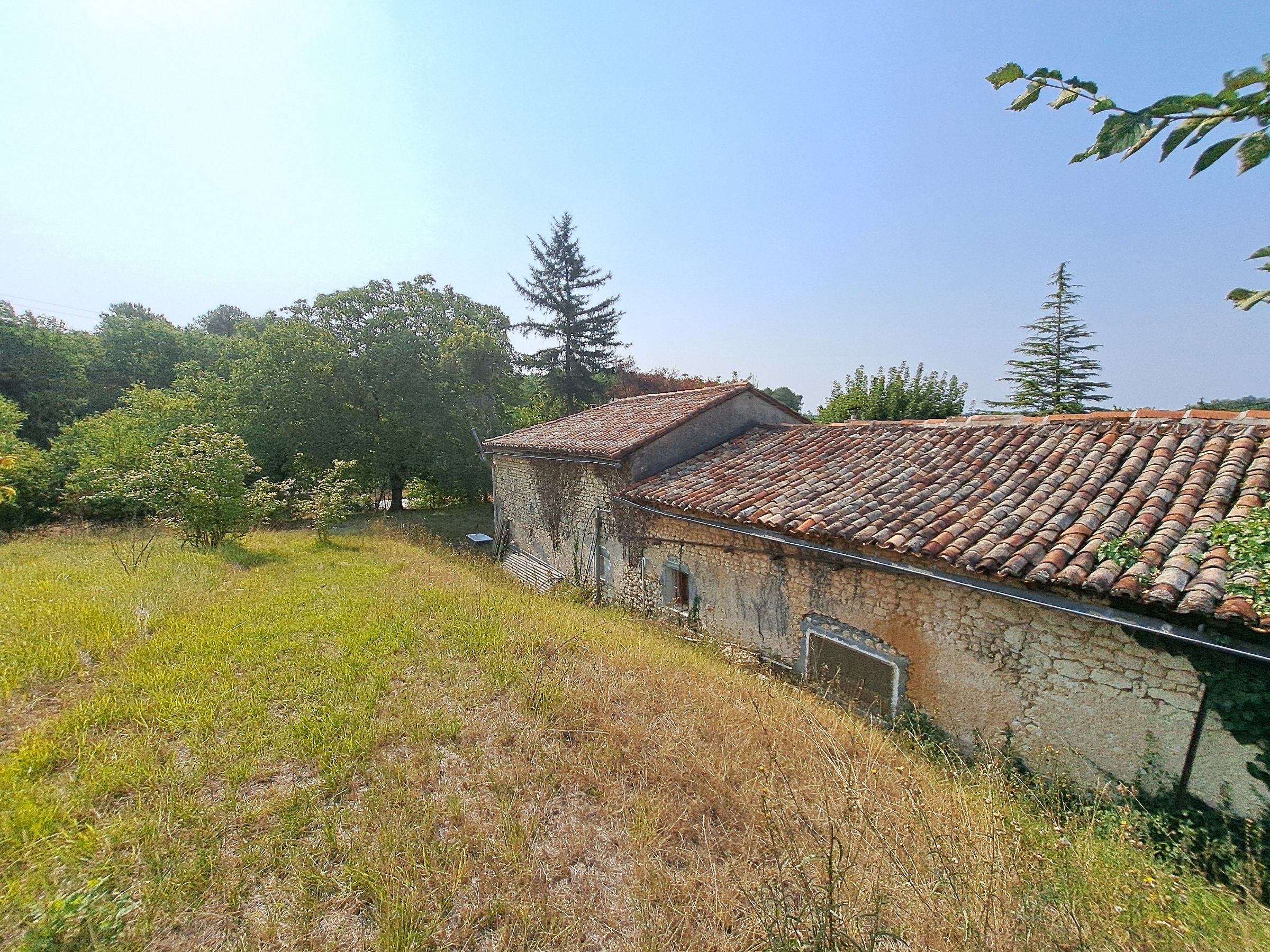 Photo 12 - Maison Charentaise 124 m² – Grange attenante – Terrain 5 348 m²