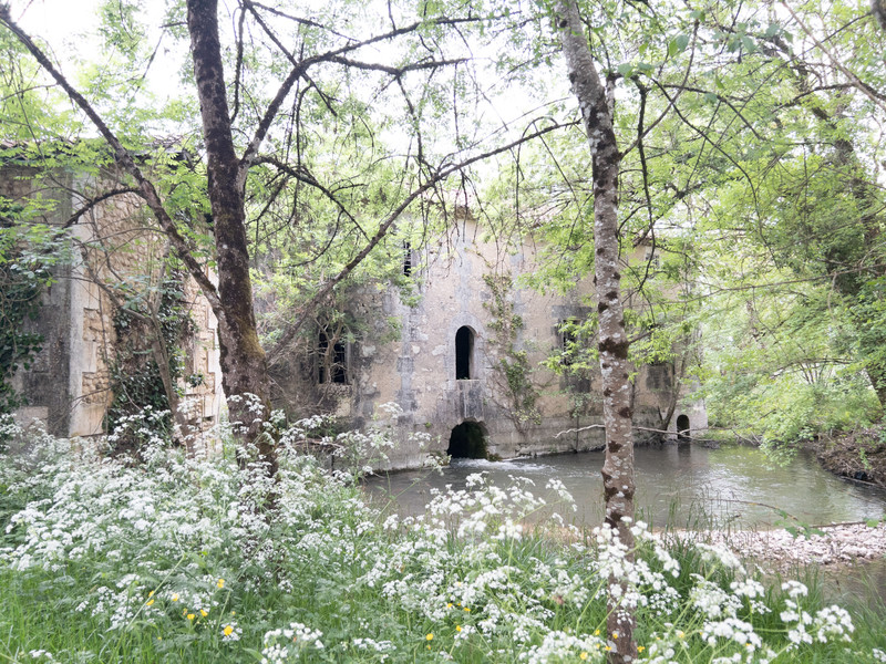Photo 13 - Moulin avec maison, dépendances et 1.5 ha prairies