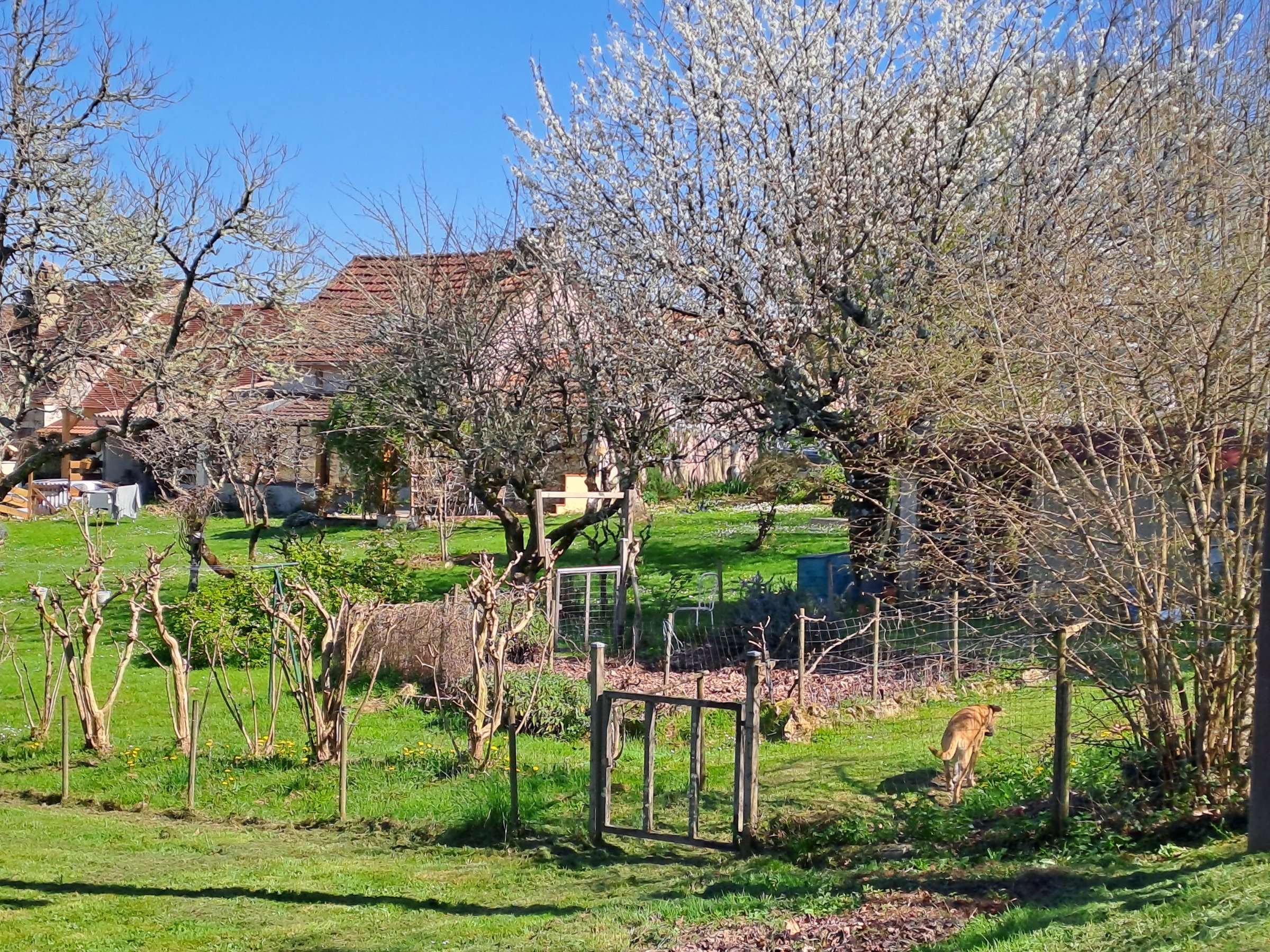 Photo 15 - Maison T5 pleine de charme