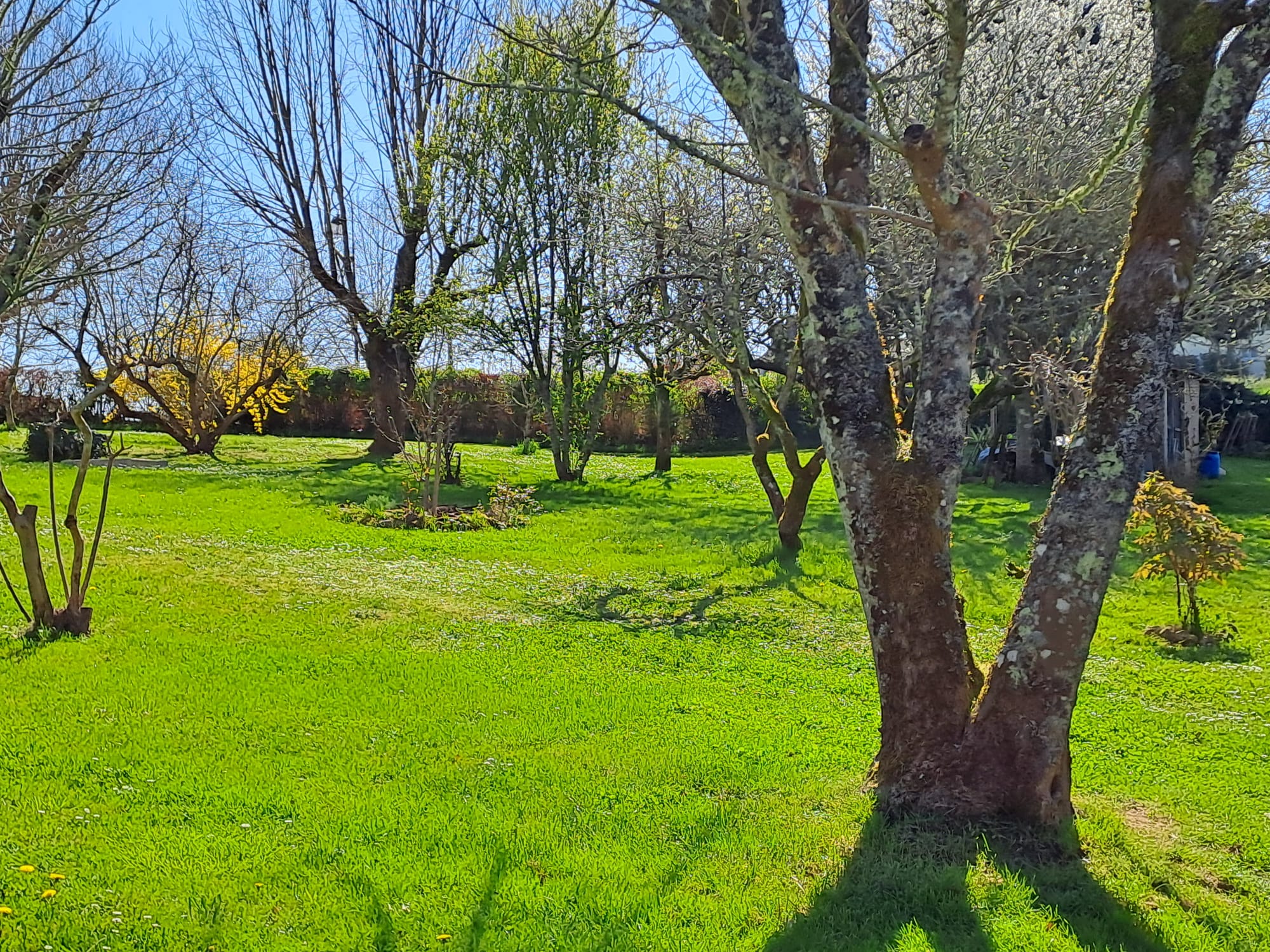 Photo 18 - Maison T5 pleine de charme