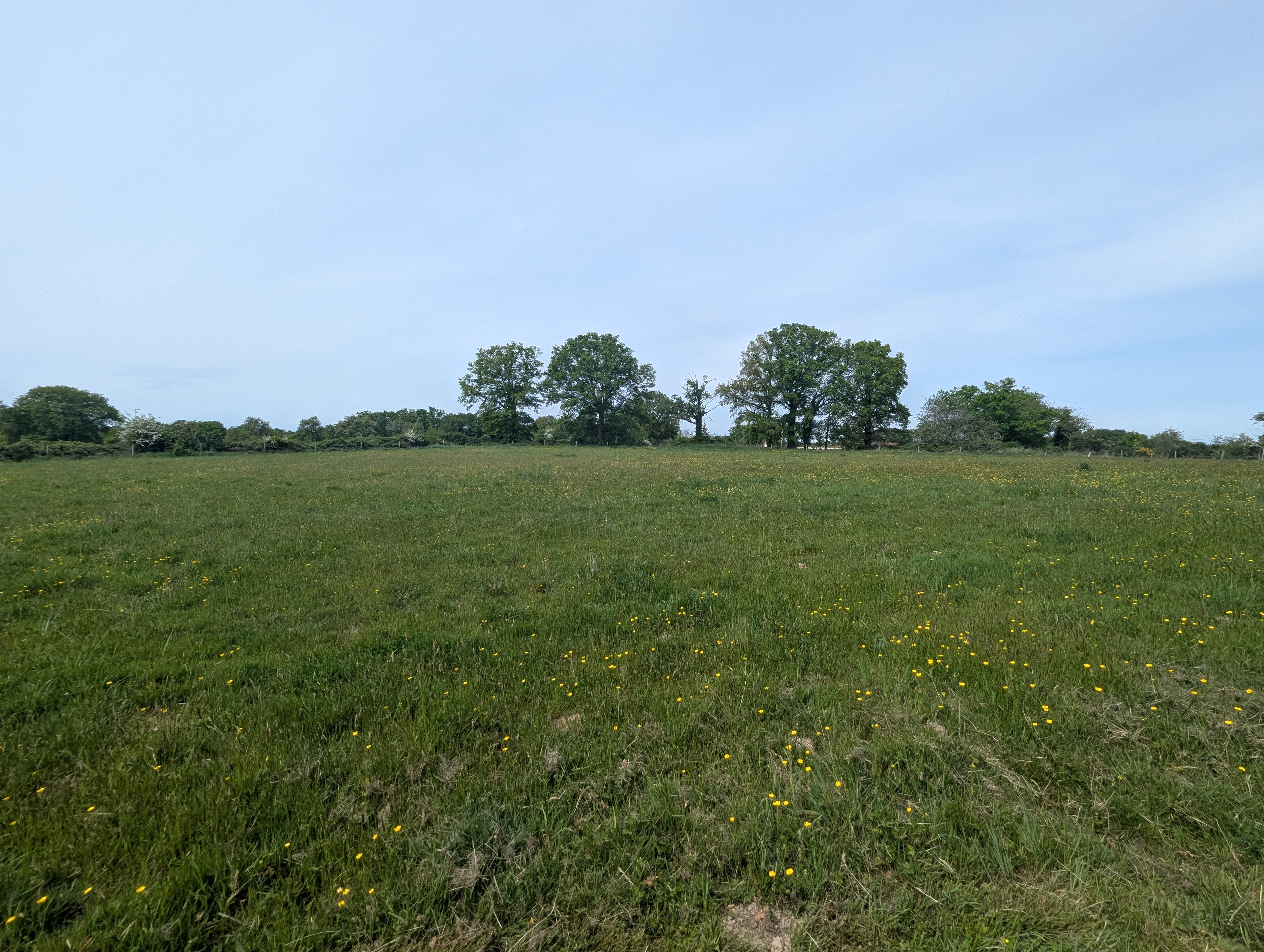 Photo 20 - A 250m du 1er voisin, maison de campagne sur 5ha !
