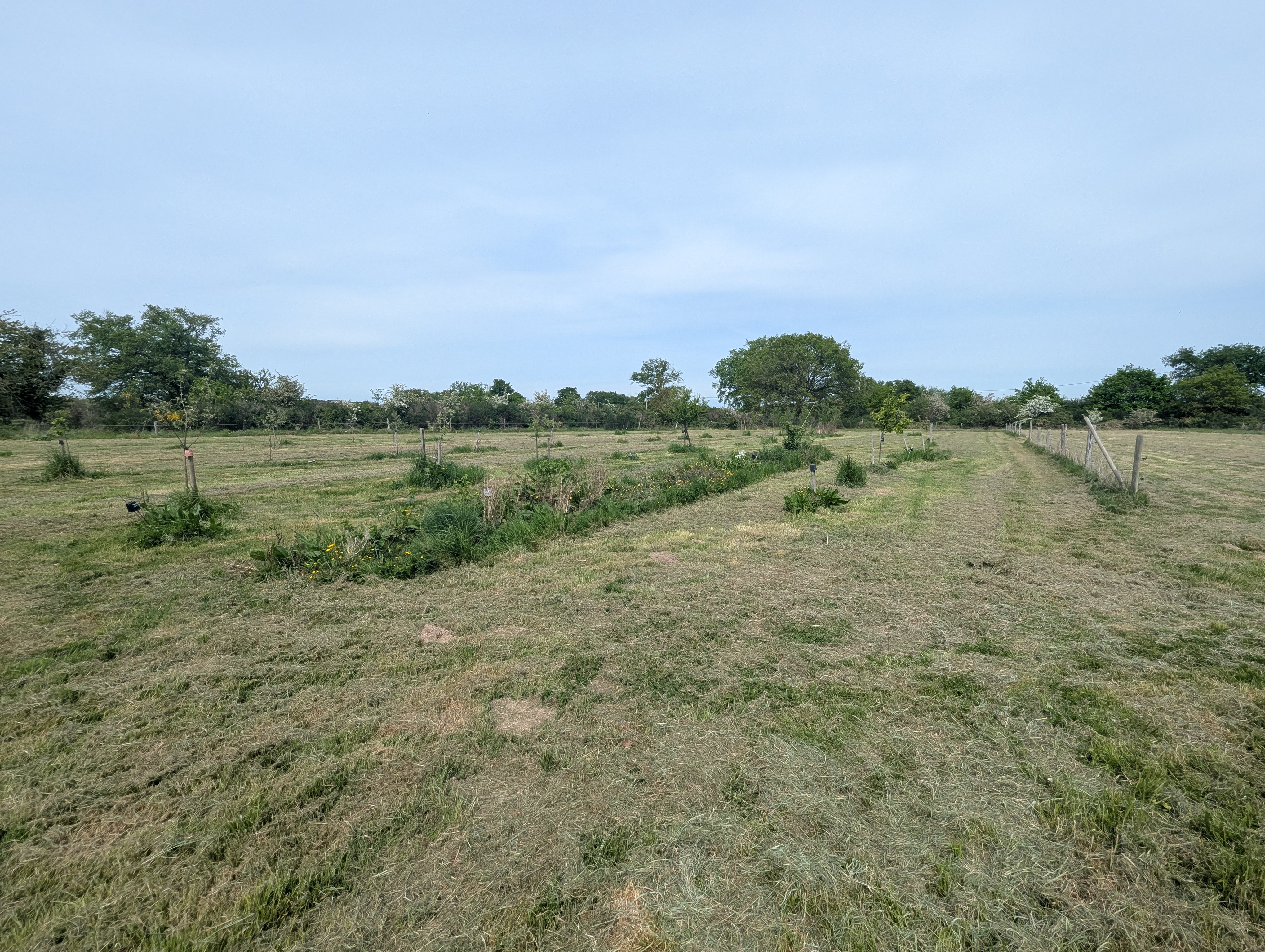 Photo 19 - A 250m du 1er voisin, maison de campagne sur 5ha !