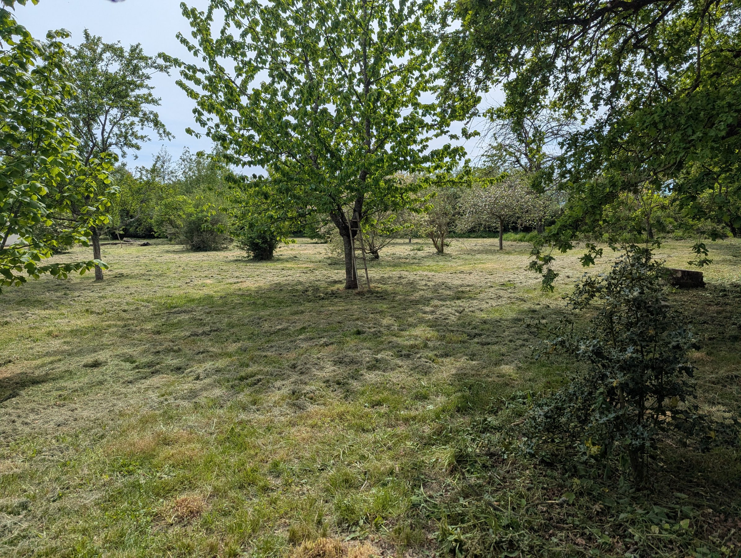 Photo 17 - A 250m du 1er voisin, maison de campagne sur 5ha !