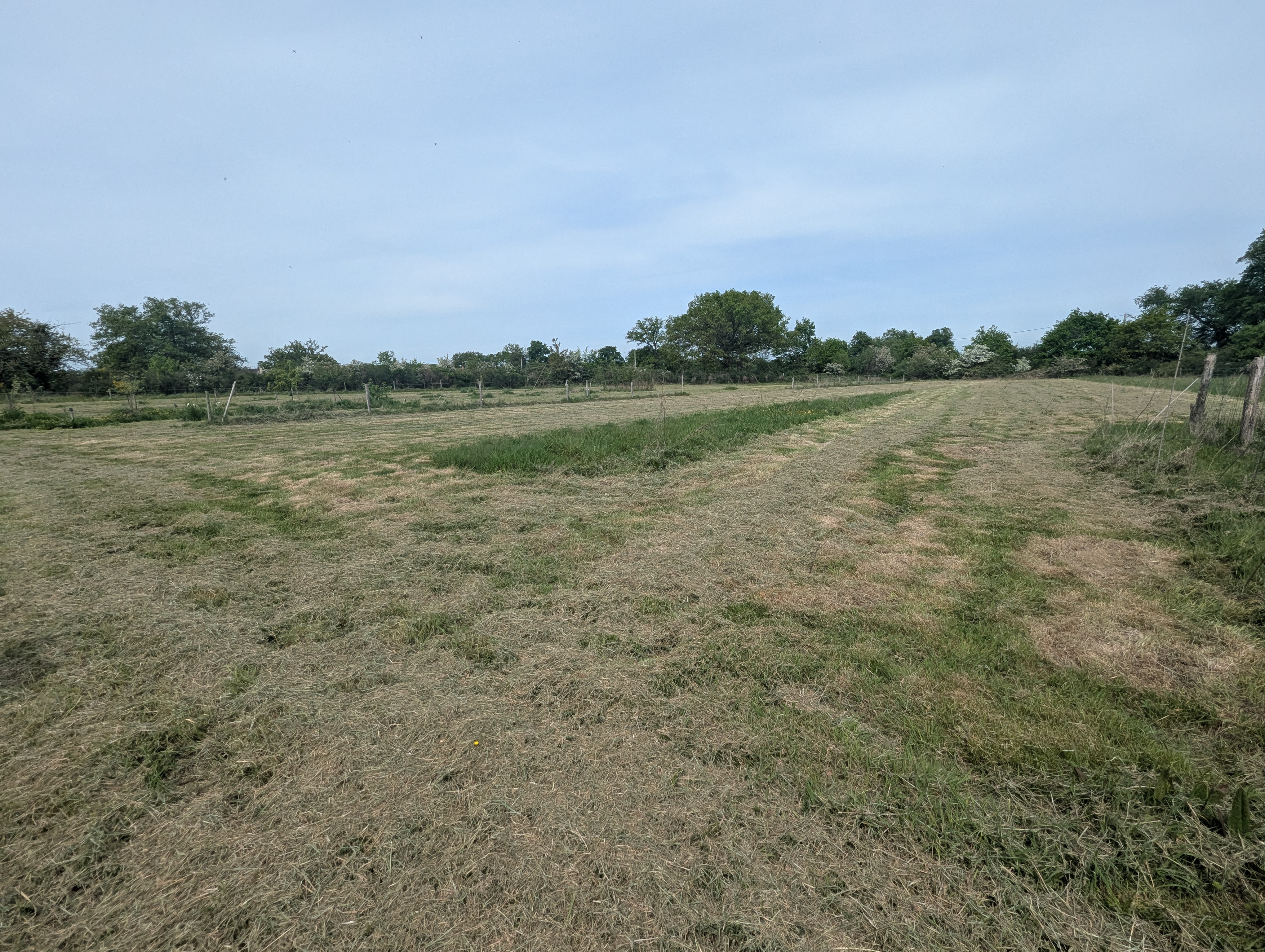 Photo 4 - A 250m du 1er voisin, maison de campagne sur 5ha !