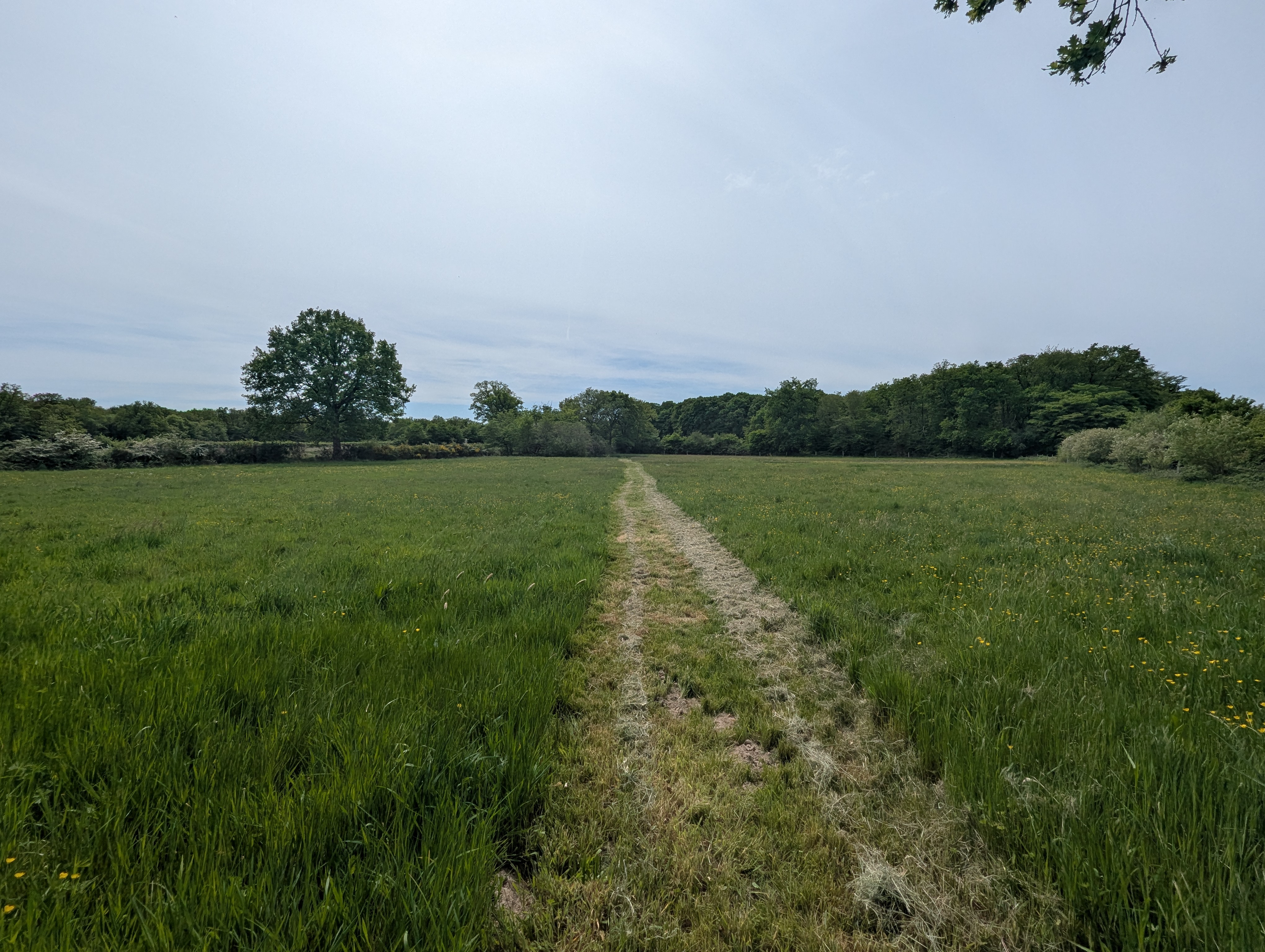 Photo 3 - A 250m du 1er voisin, maison de campagne sur 5ha !