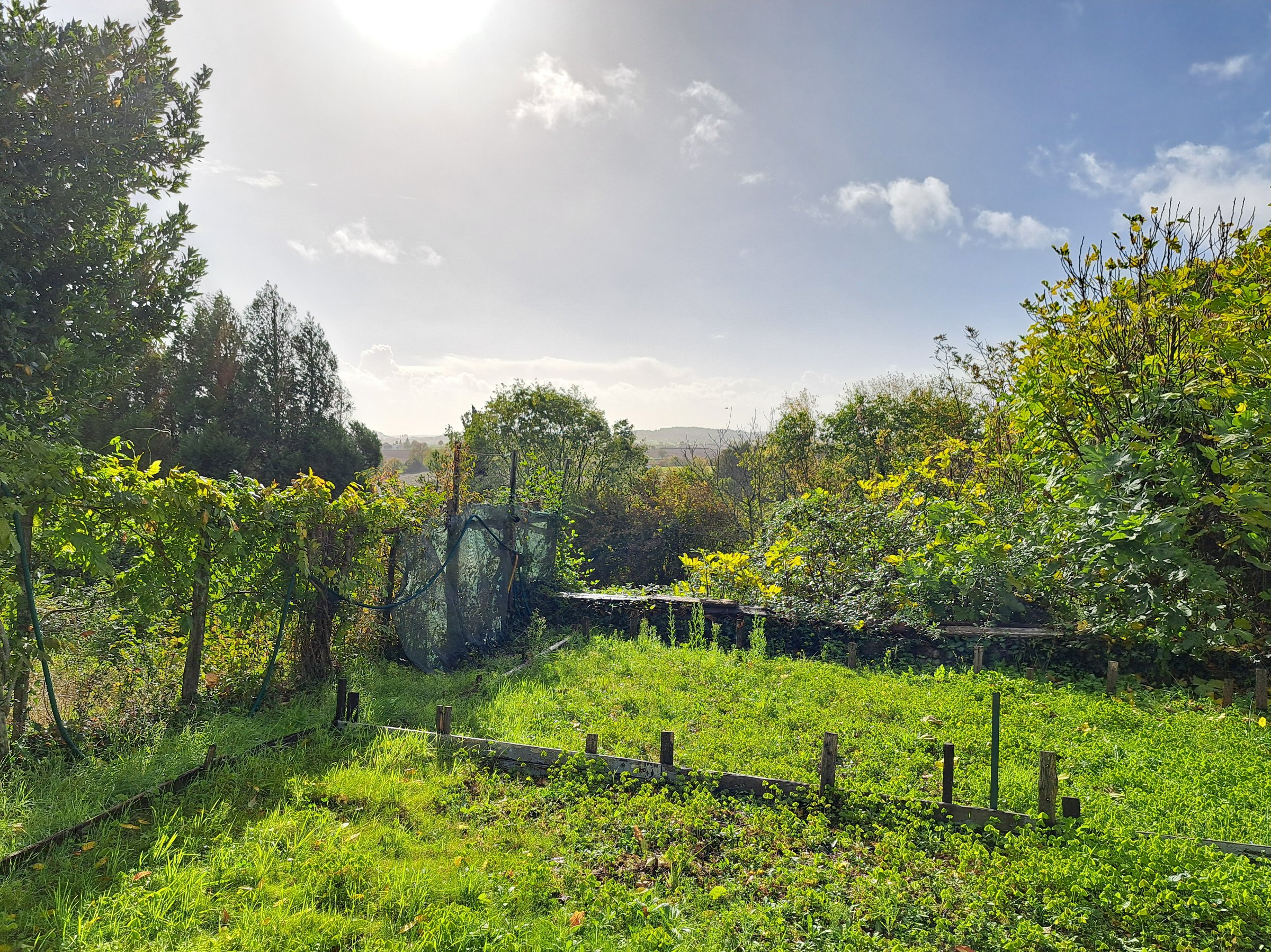 Photo 20 - Maison en pierre avec caves, grenier, courette et jardin clos – 172 m² – 5 pièces