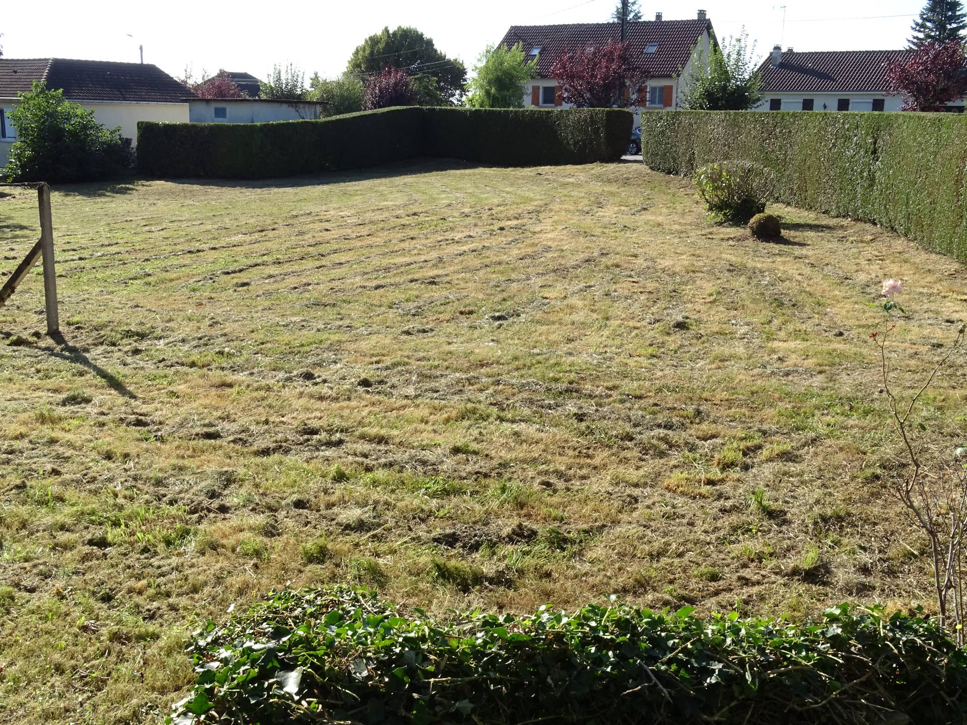 Terrain Constructible - Photo 3