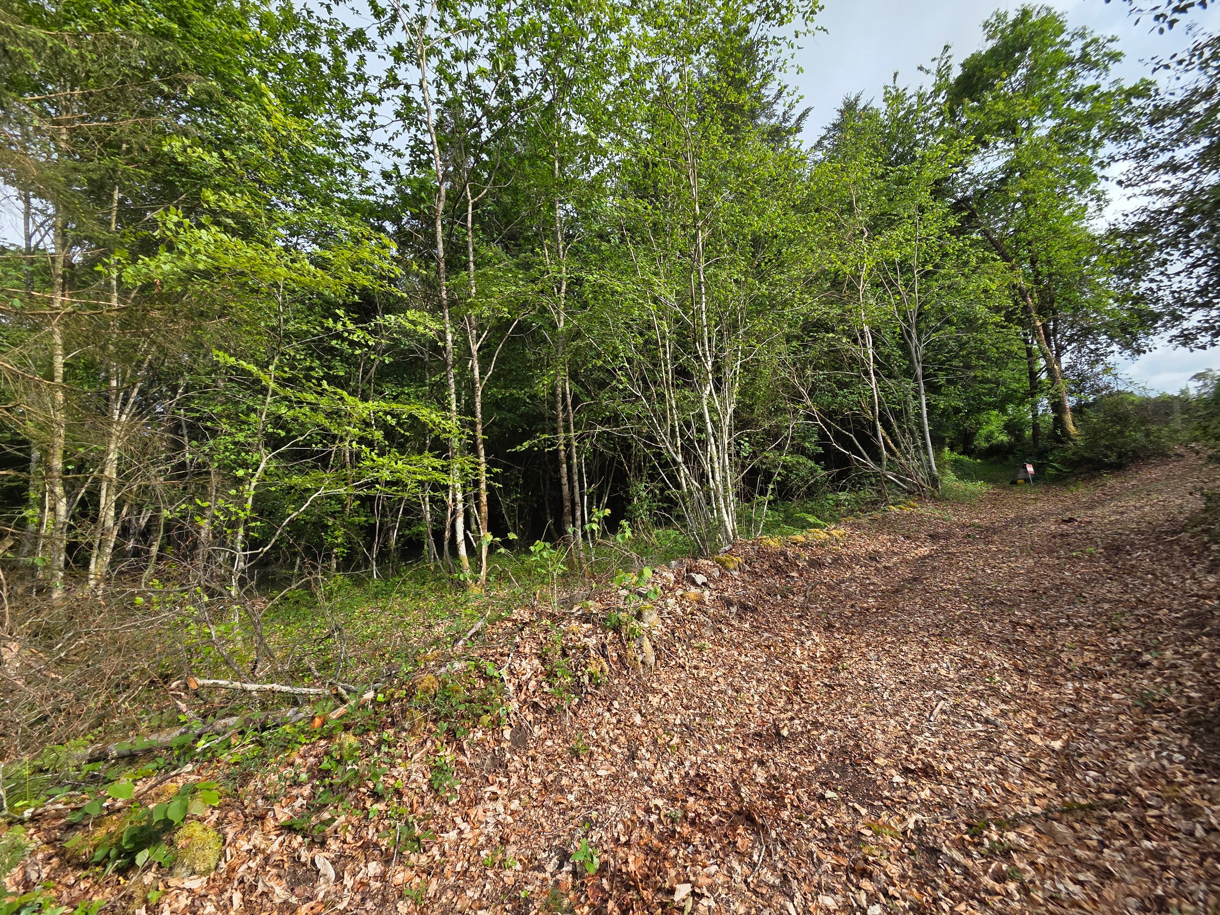 Photo 6 - Maison d&rsquo;habitation avec2 terrains non attenants