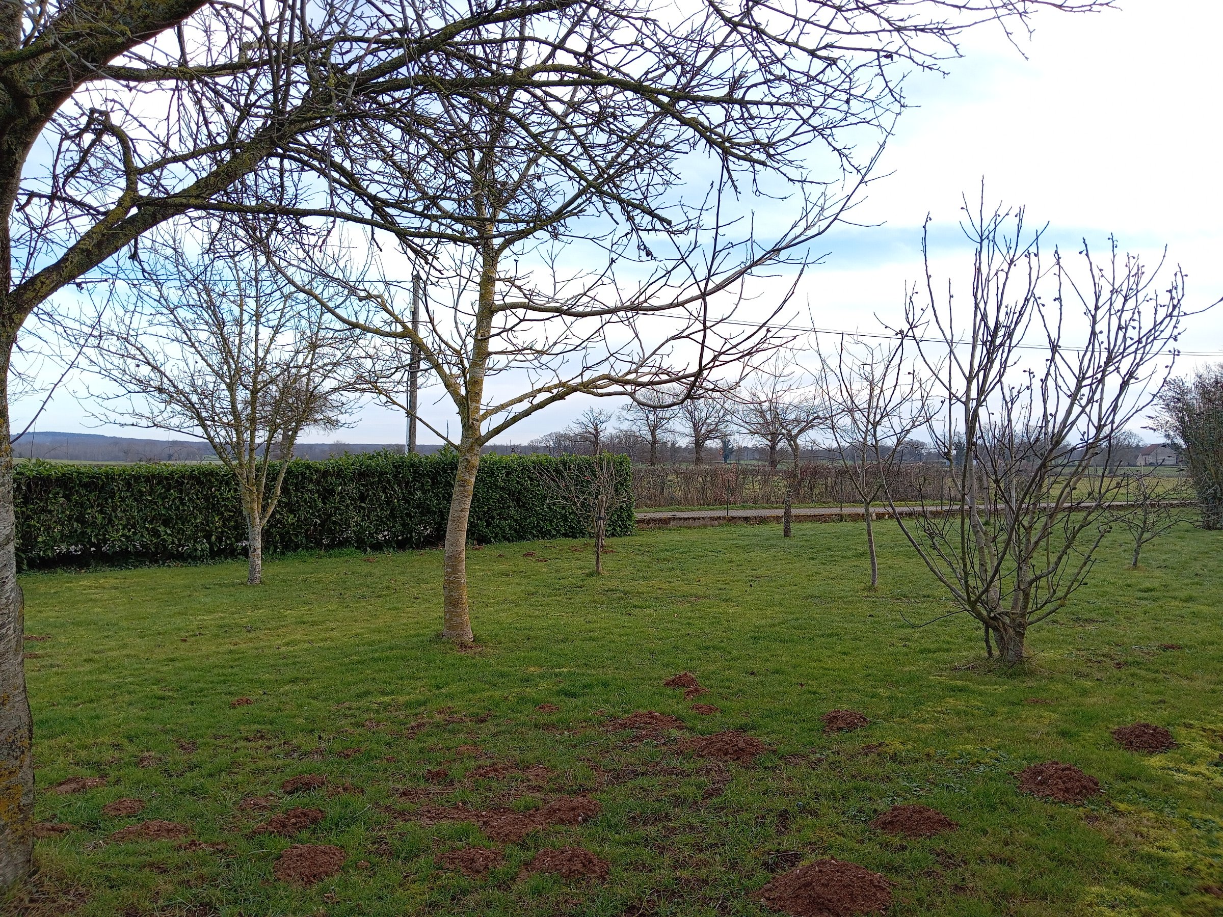 Photo 4 - Maison de campagne Nord Allier