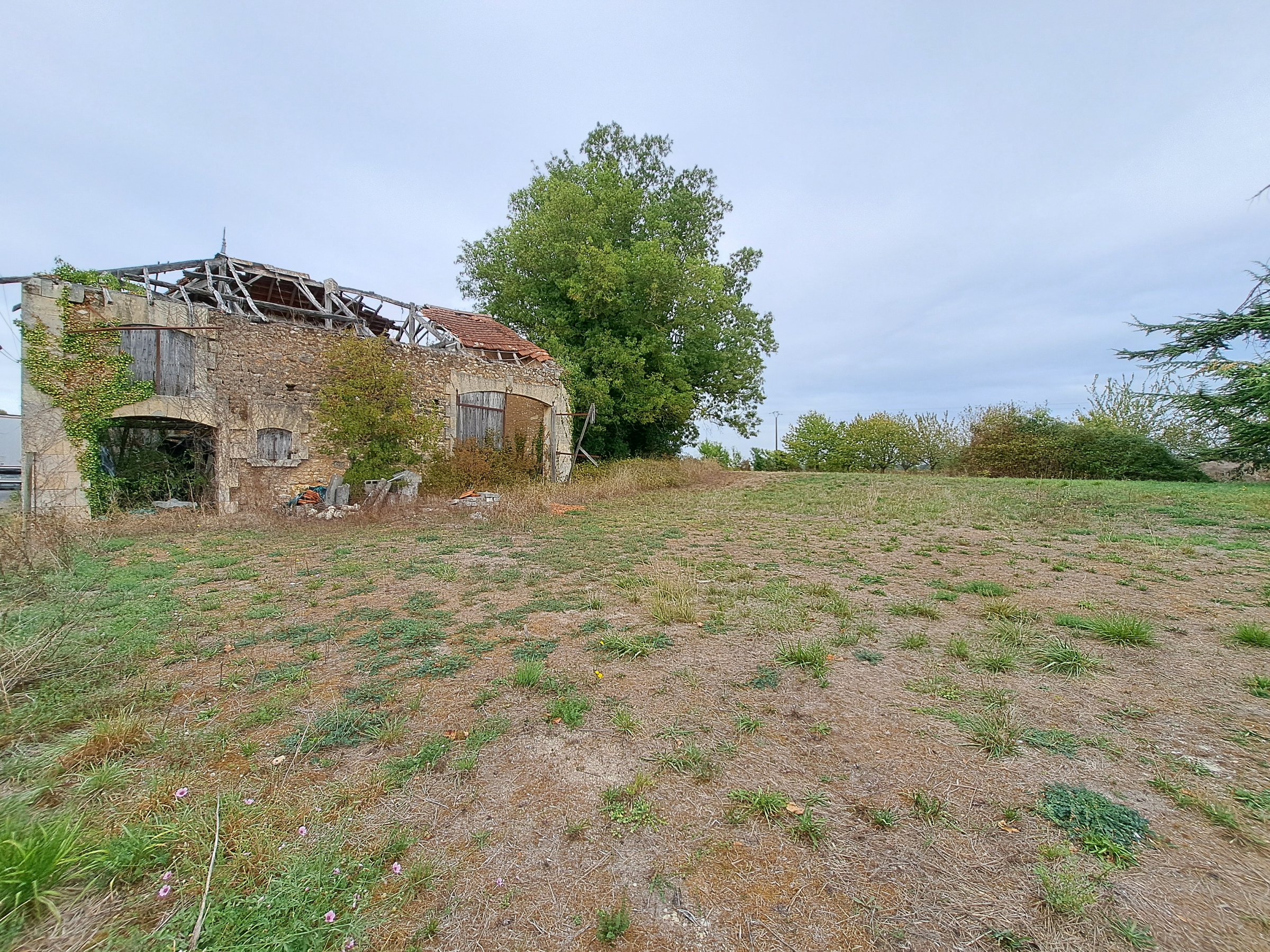Photo 4 - Terrain constructible – 5642 m² – divers bâtiments à réhabiliter