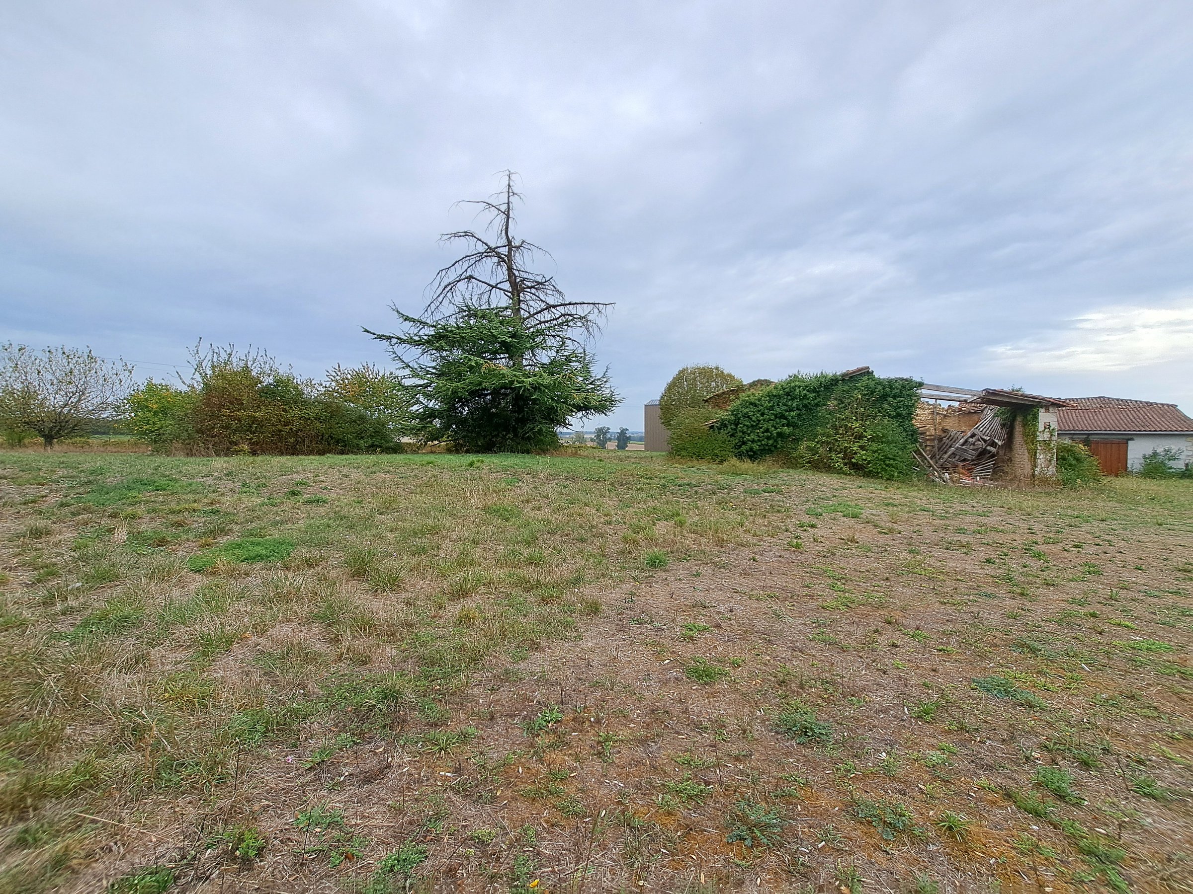 Photo 2 - Terrain constructible – 5642 m² – divers bâtiments à réhabiliter
