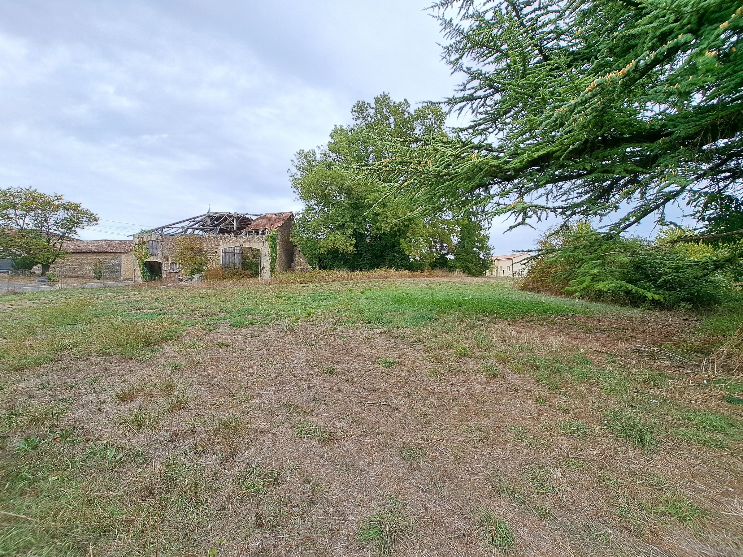 Photo 3 - Terrain constructible – 5642 m² – divers bâtiments à réhabiliter